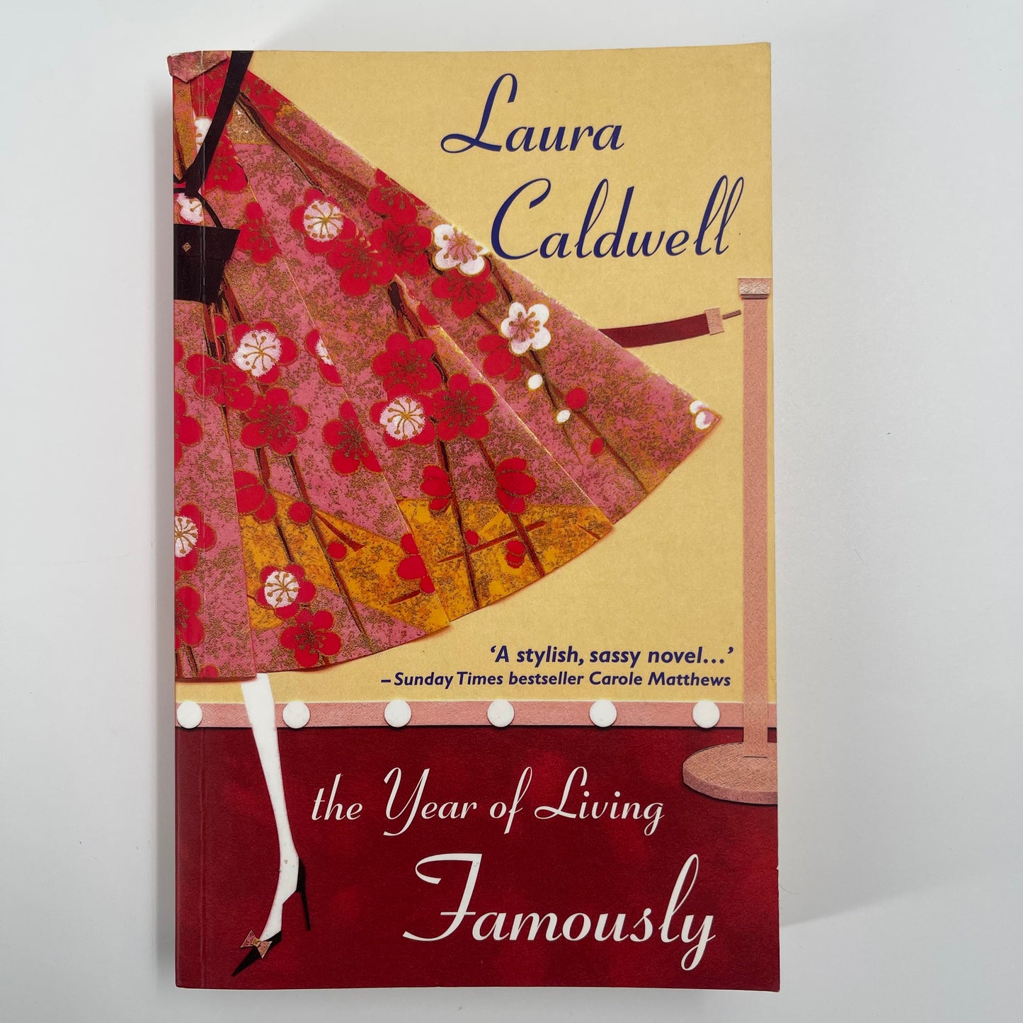 Year of Living Famously - Laura Caldwell - Front Cover