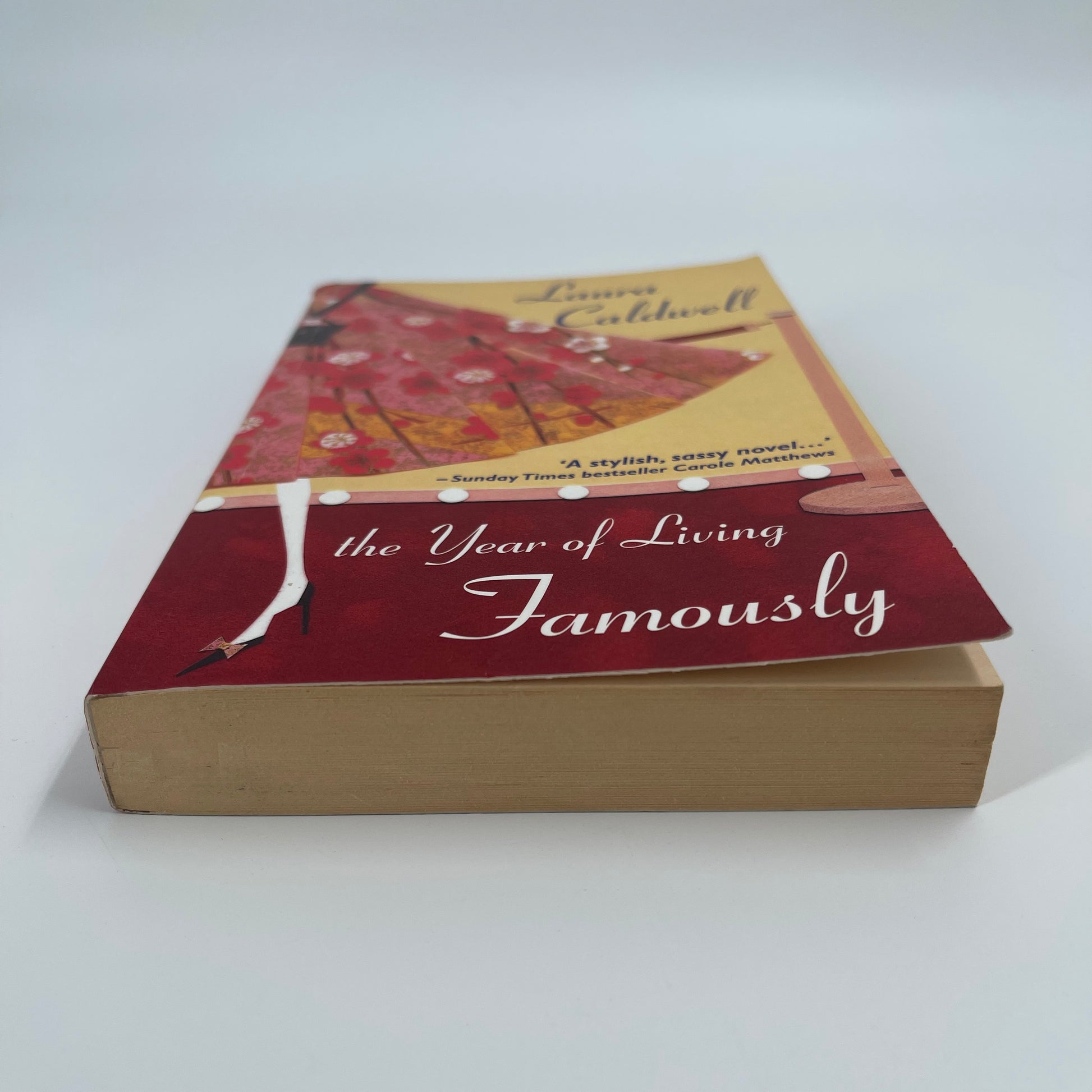 Year of Living Famously - Laura Caldwell - Bottom Edge