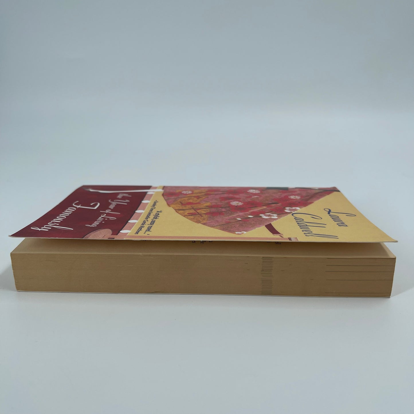 Year of Living Famously - Laura Caldwell - Fore Edge