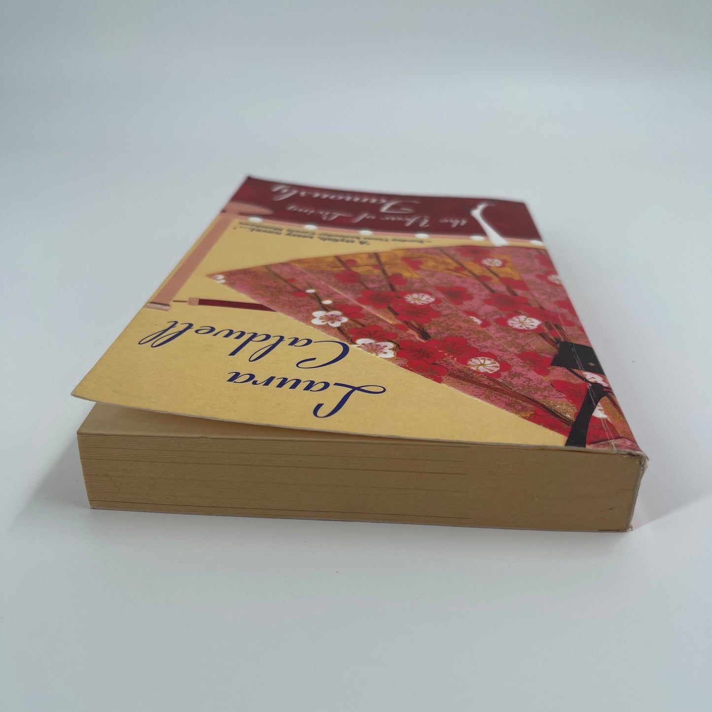 Year of Living Famously - Laura Caldwell - Top Edge
