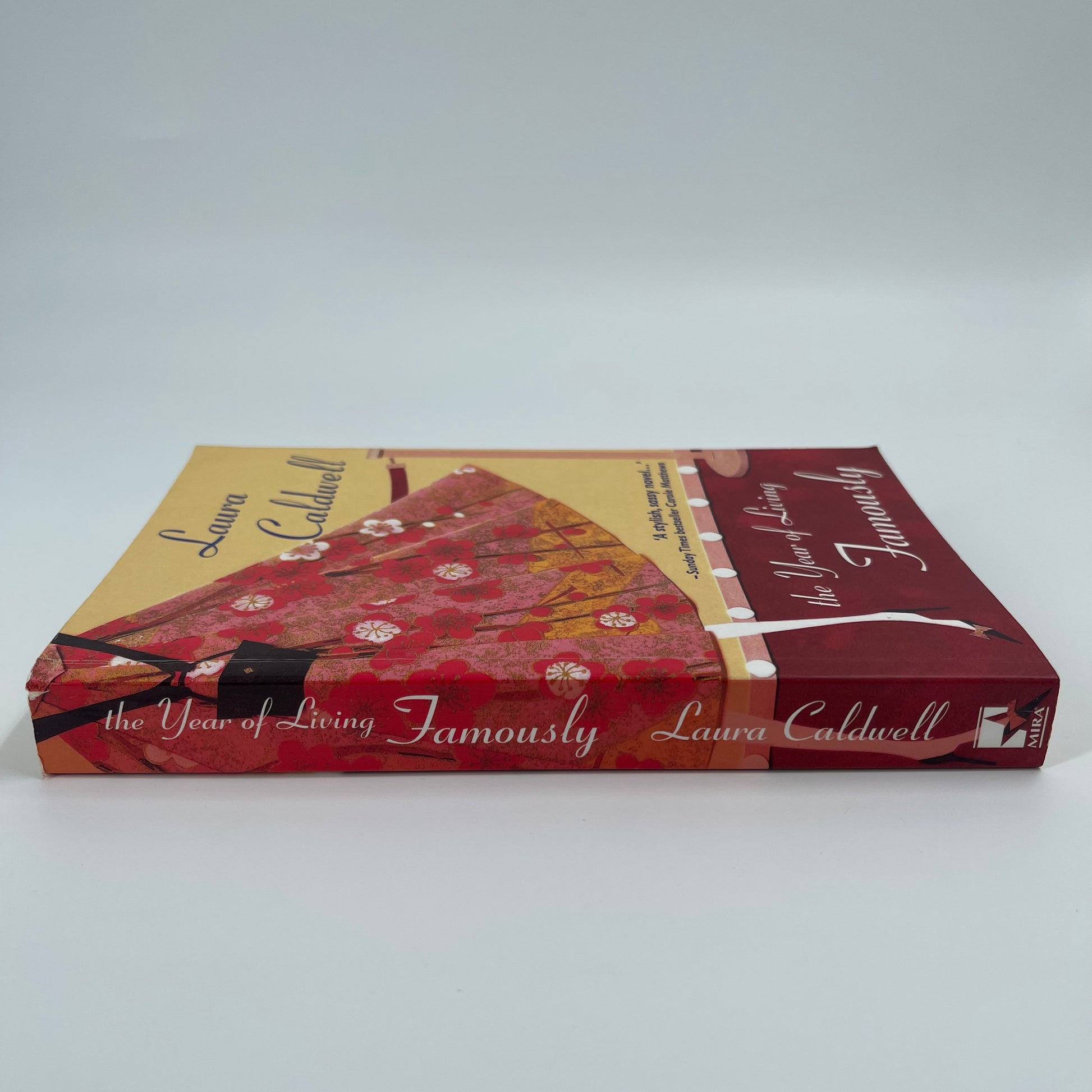 Year of Living Famously - Laura Caldwell - Spine