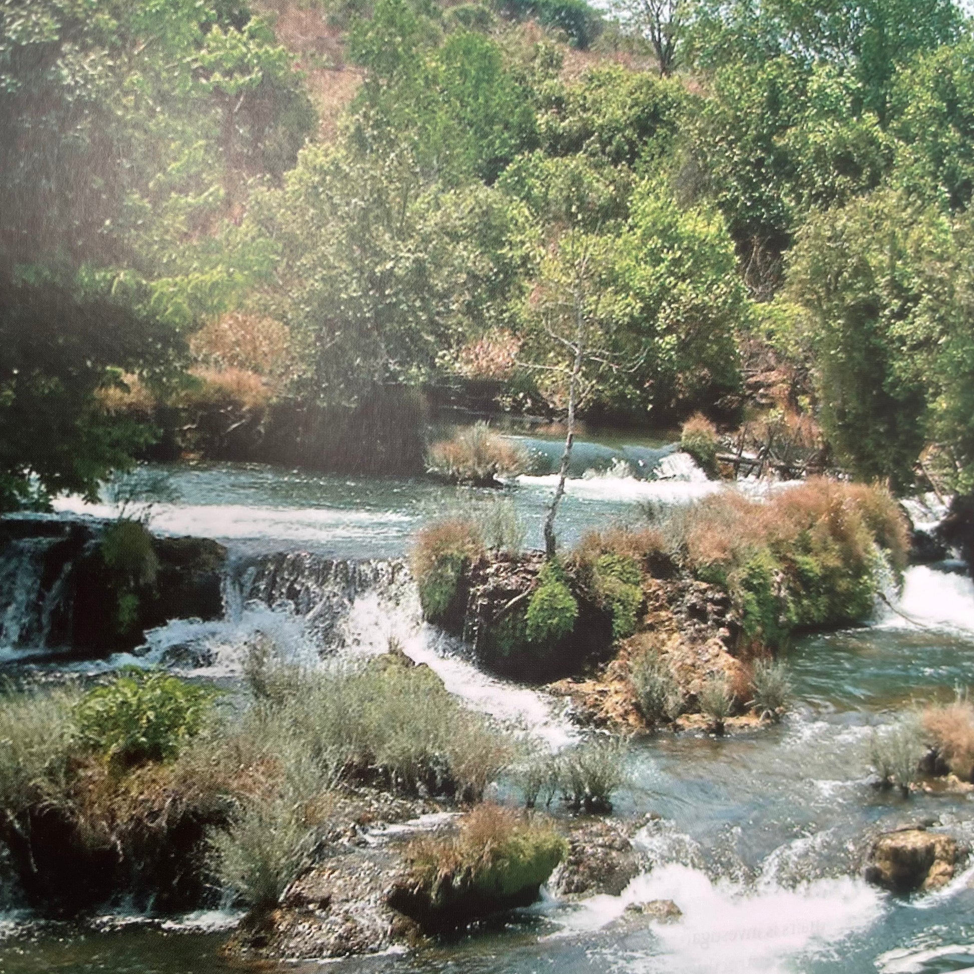 In the Footsteps of Giants Exploring the History of South Africa's Large Dams - Lani Van Vuuren - Condition Detail 5