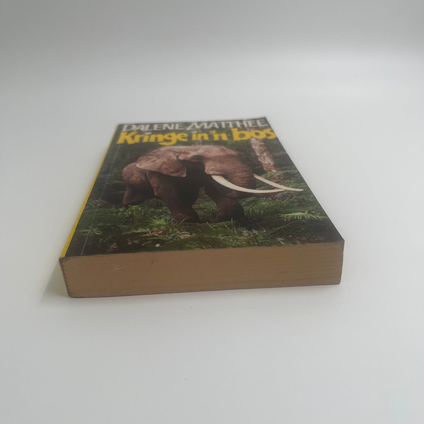 Kringe in 'n bos (Afrikaans Edition) - Matthee - Bottom Edge
