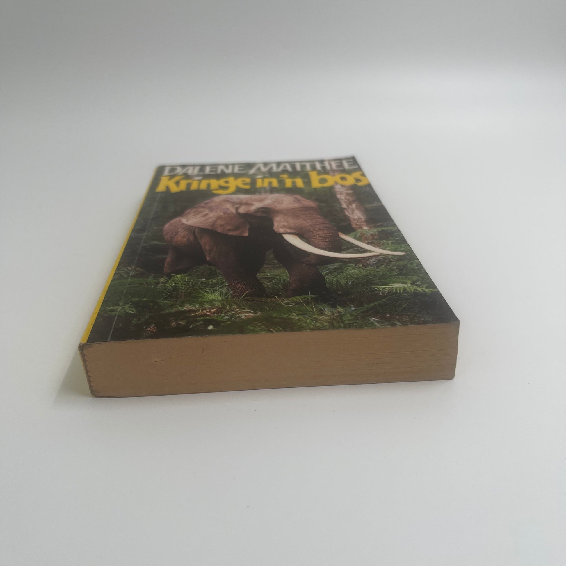 Kringe in 'n bos (Afrikaans Edition) - Matthee - Bottom Edge