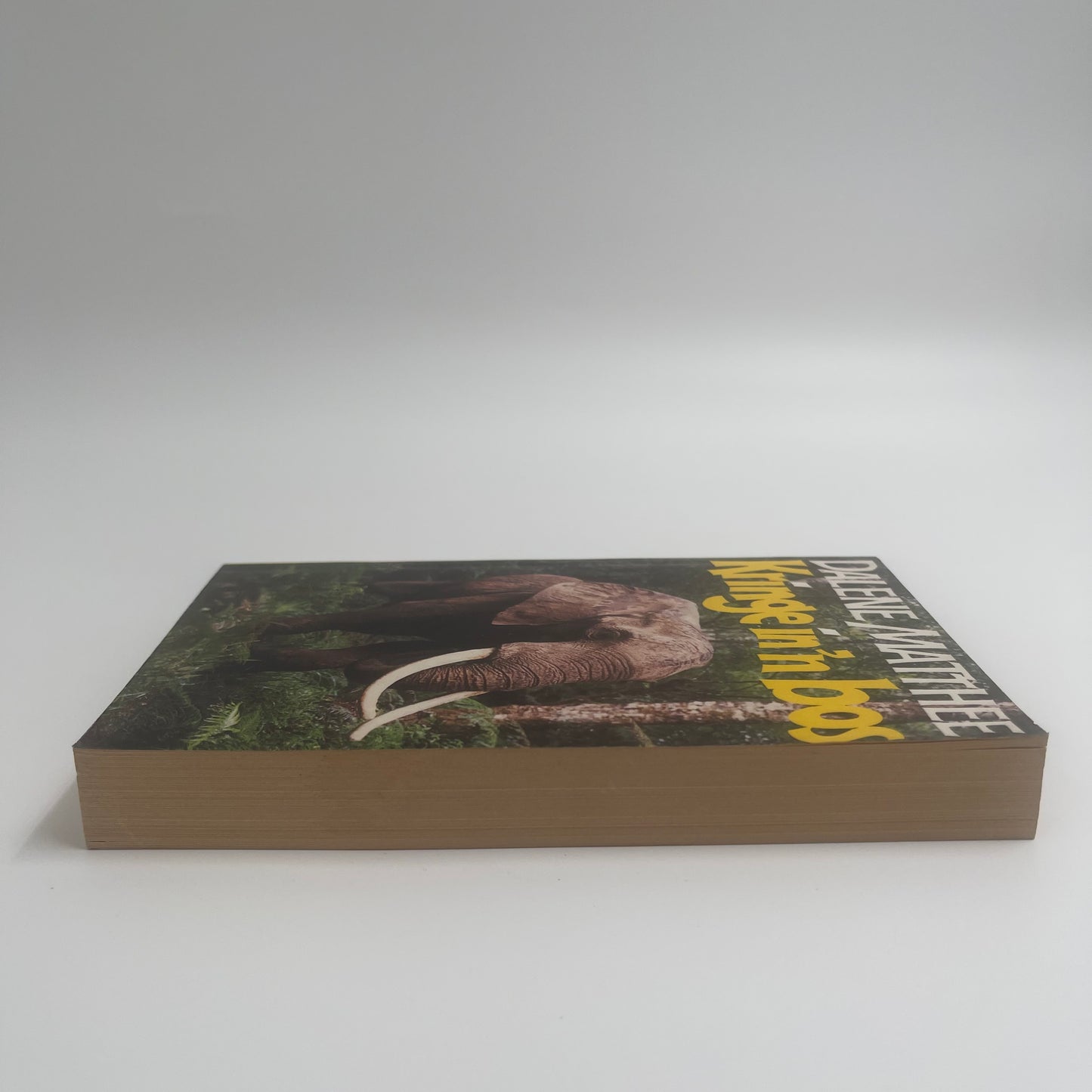 Kringe in 'n bos (Afrikaans Edition) - Matthee - Fore Edge