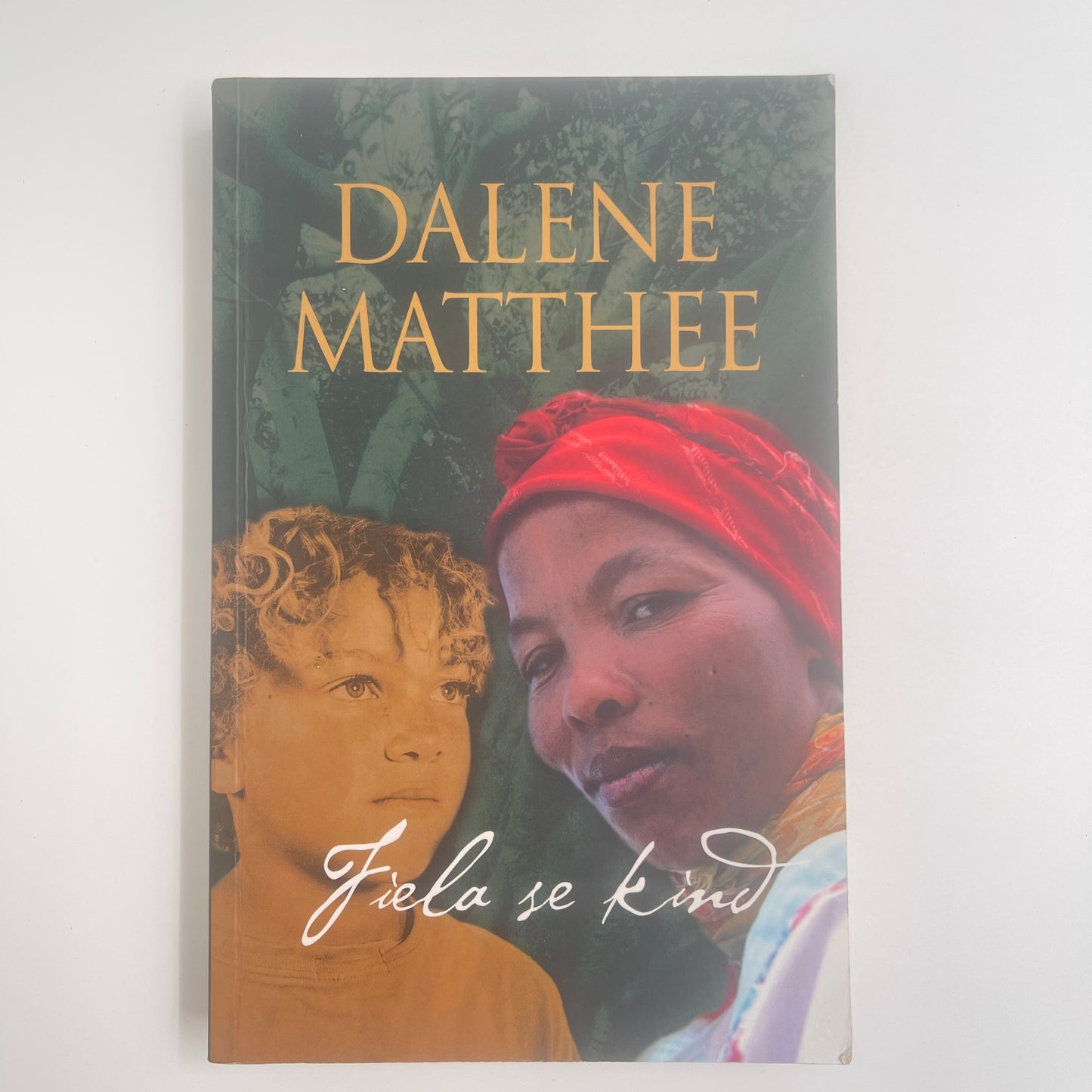 Fiela se kind - Dalene Matthee - Front Cover
