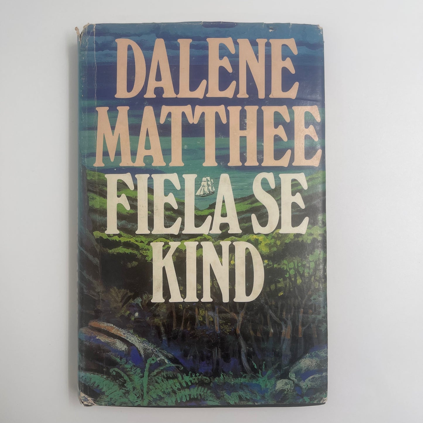 Fiela se kind (Afrikaans Edition) - Matthee - Front Cover