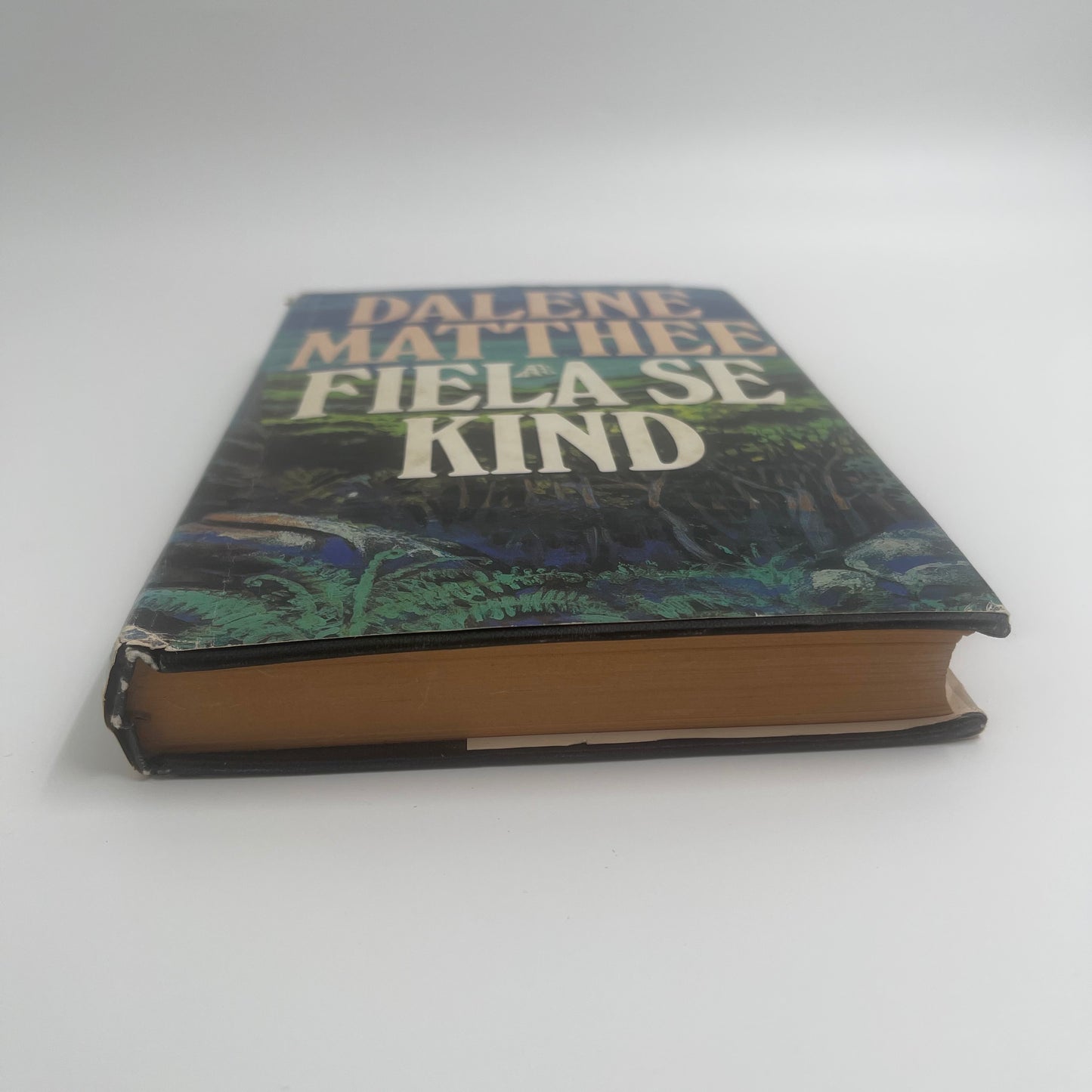 Fiela se kind (Afrikaans Edition) - Matthee - Spine