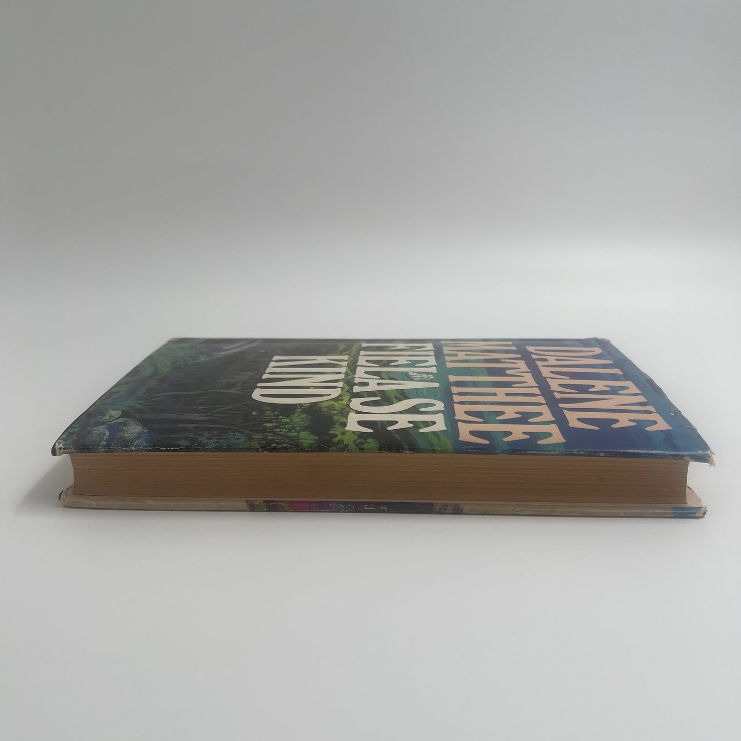 Fiela se kind (Afrikaans Edition) - Matthee - Condition Detail 1