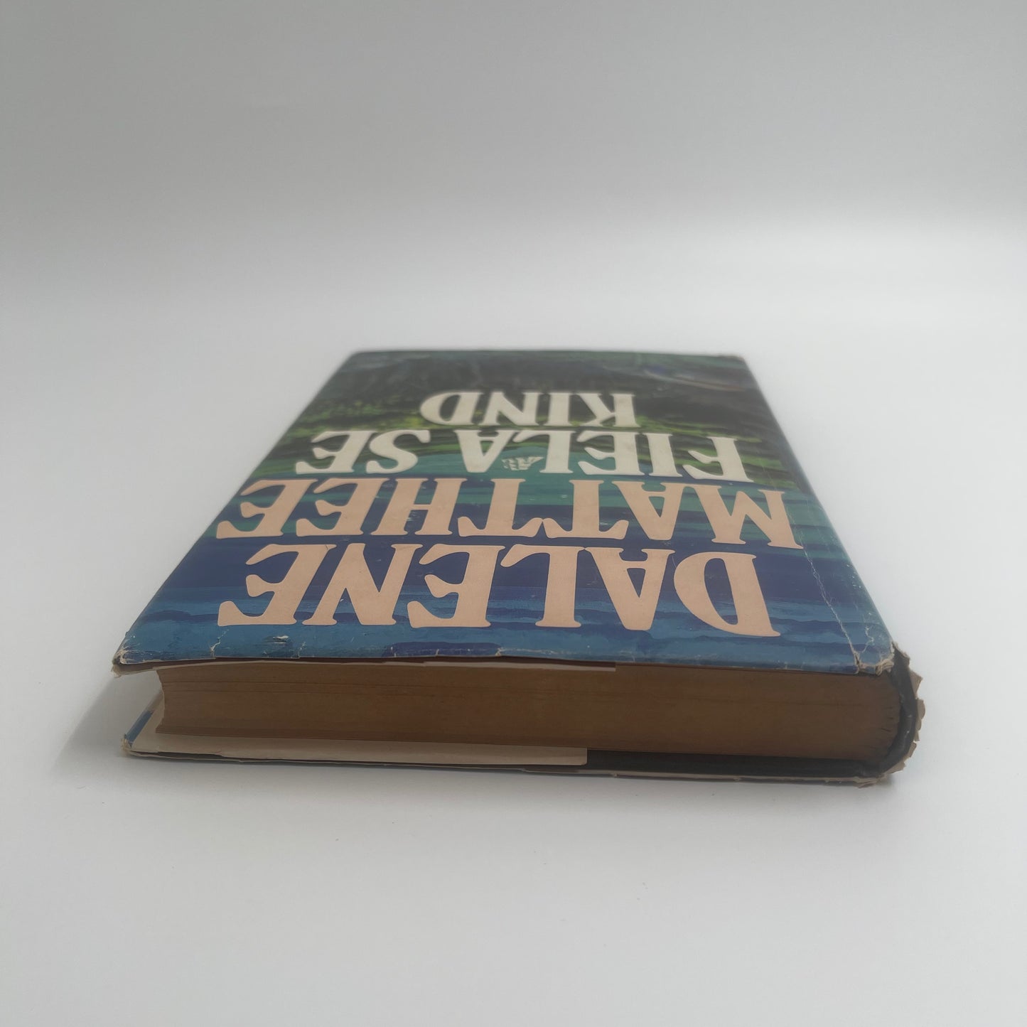 Fiela se kind (Afrikaans Edition) - Matthee - Condition Detail 2