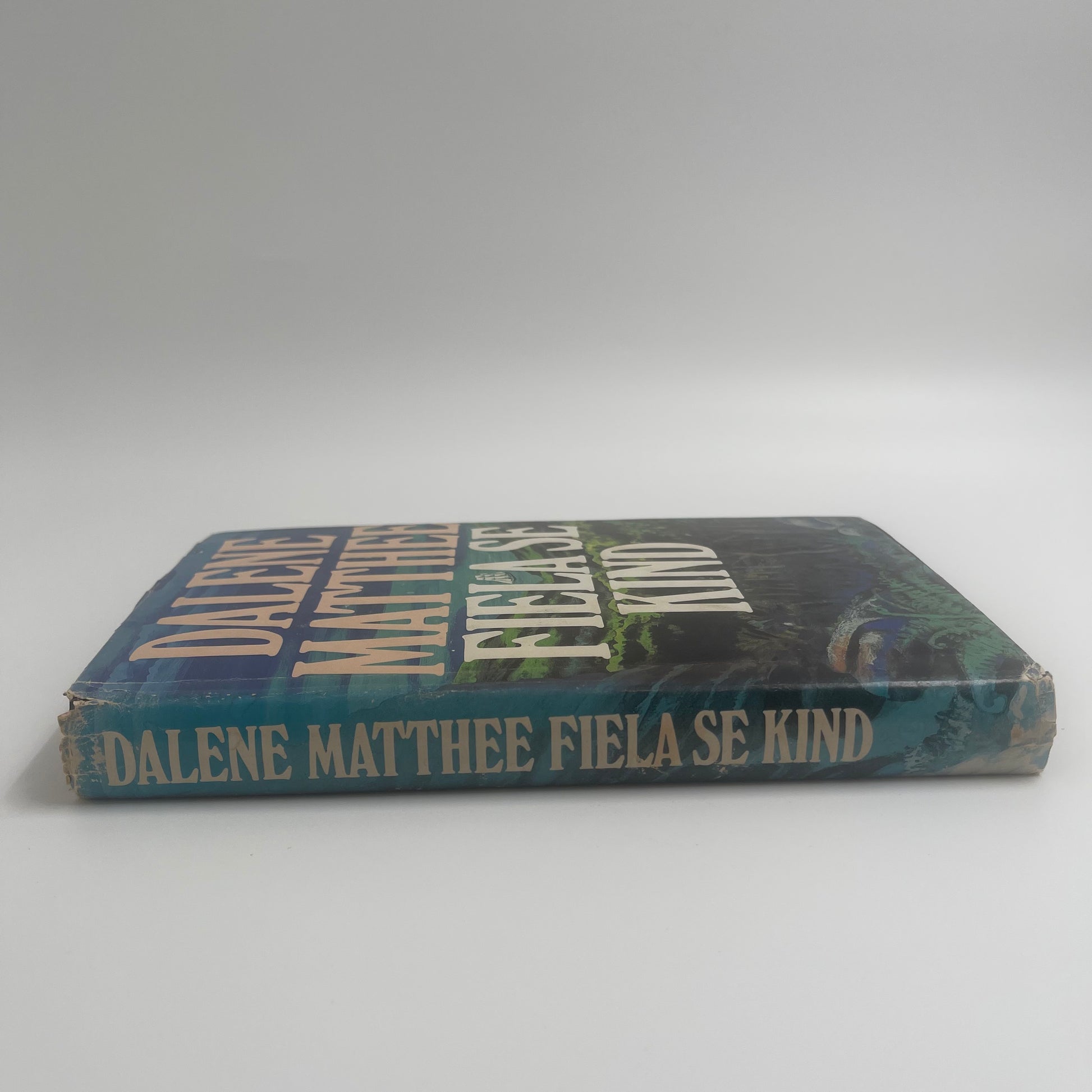Fiela se kind (Afrikaans Edition) - Matthee - Condition Detail 3