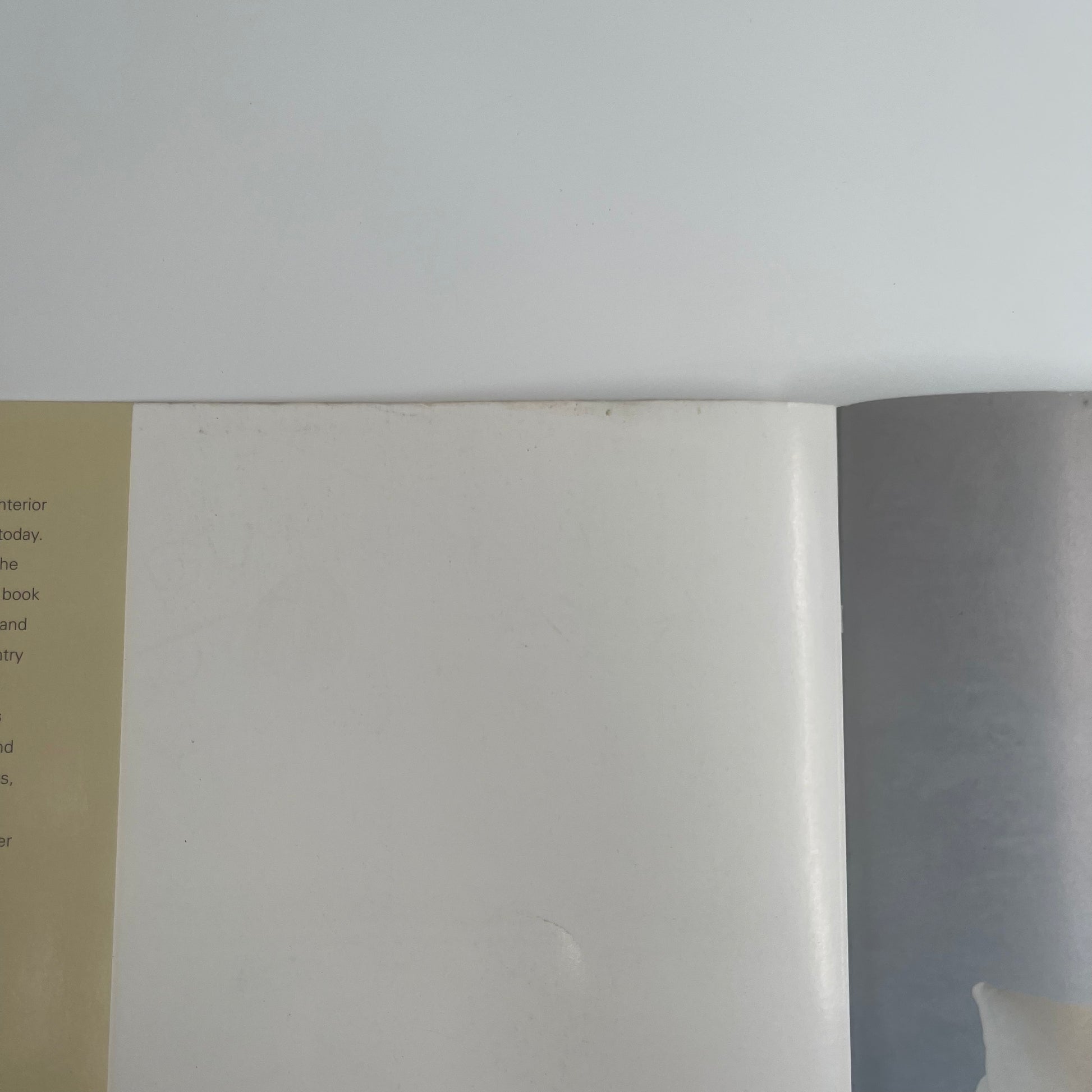 Stylish Living in South Africa - Suzanne Brenner - Condition Detail 3