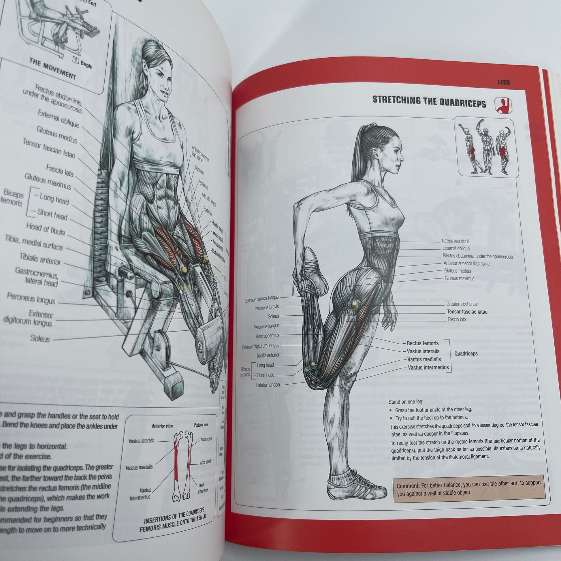 Strength Training Anatomy - Frédéric Delavier - Back Cover