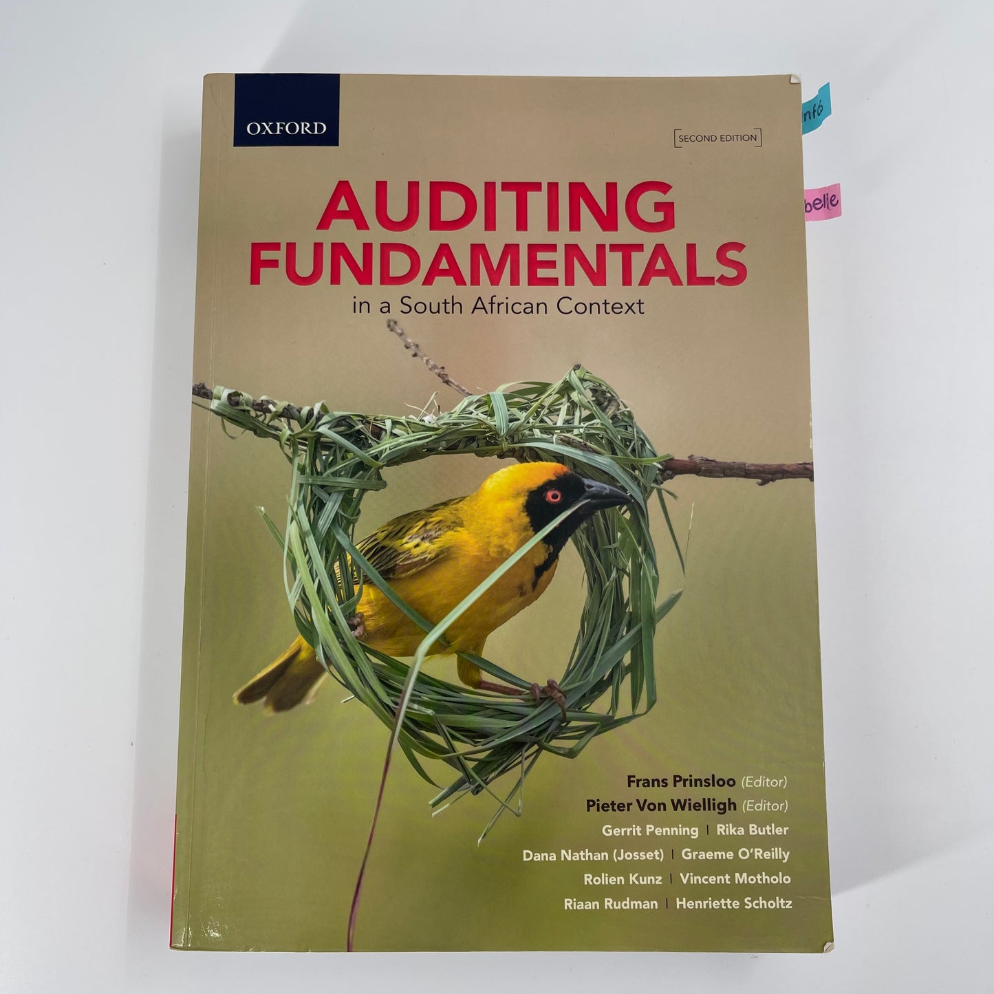 Auditing Fundamentals in a South African Context - Gerrit Penning - Front Cover