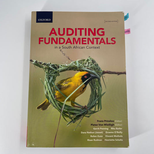 Auditing Fundamentals in a South African Context - Gerrit Penning - Front Cover