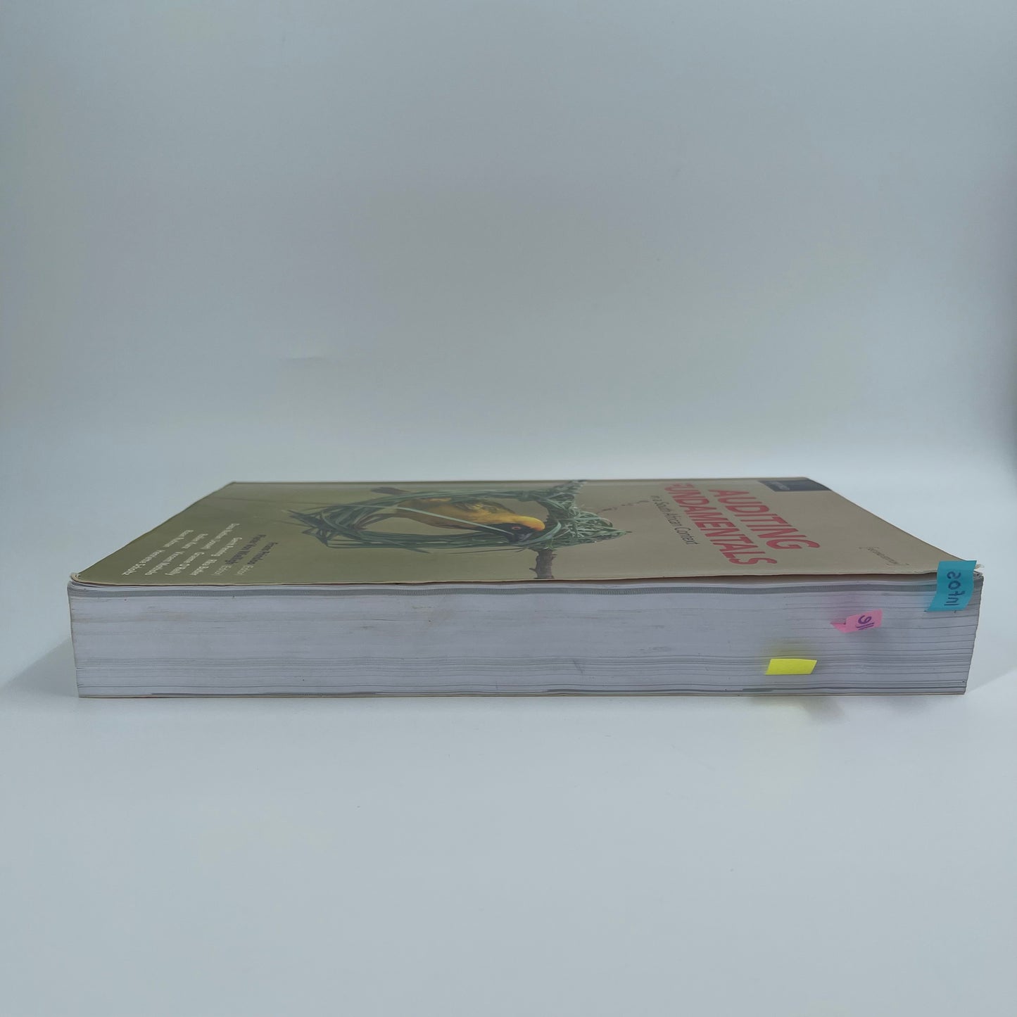 Auditing Fundamentals in a South African Context - Gerrit Penning - Fore Edge