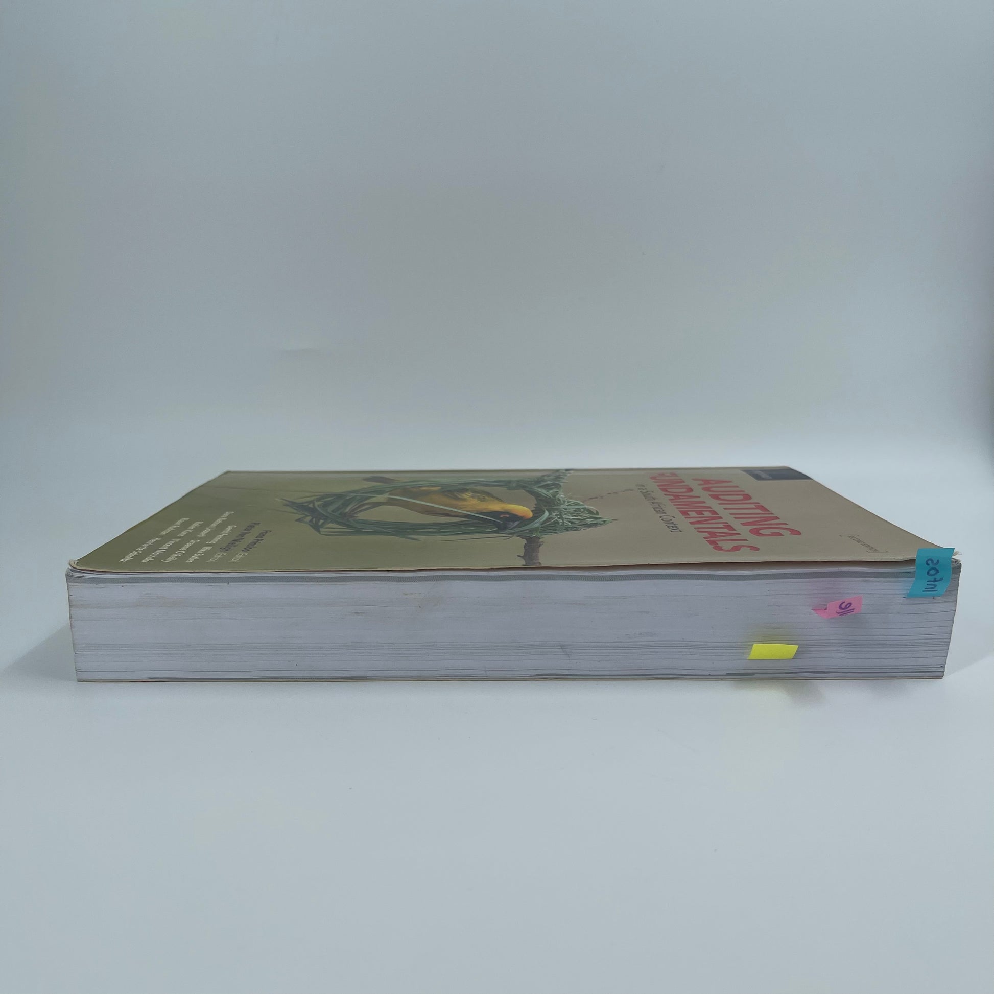 Auditing Fundamentals in a South African Context - Gerrit Penning - Fore Edge