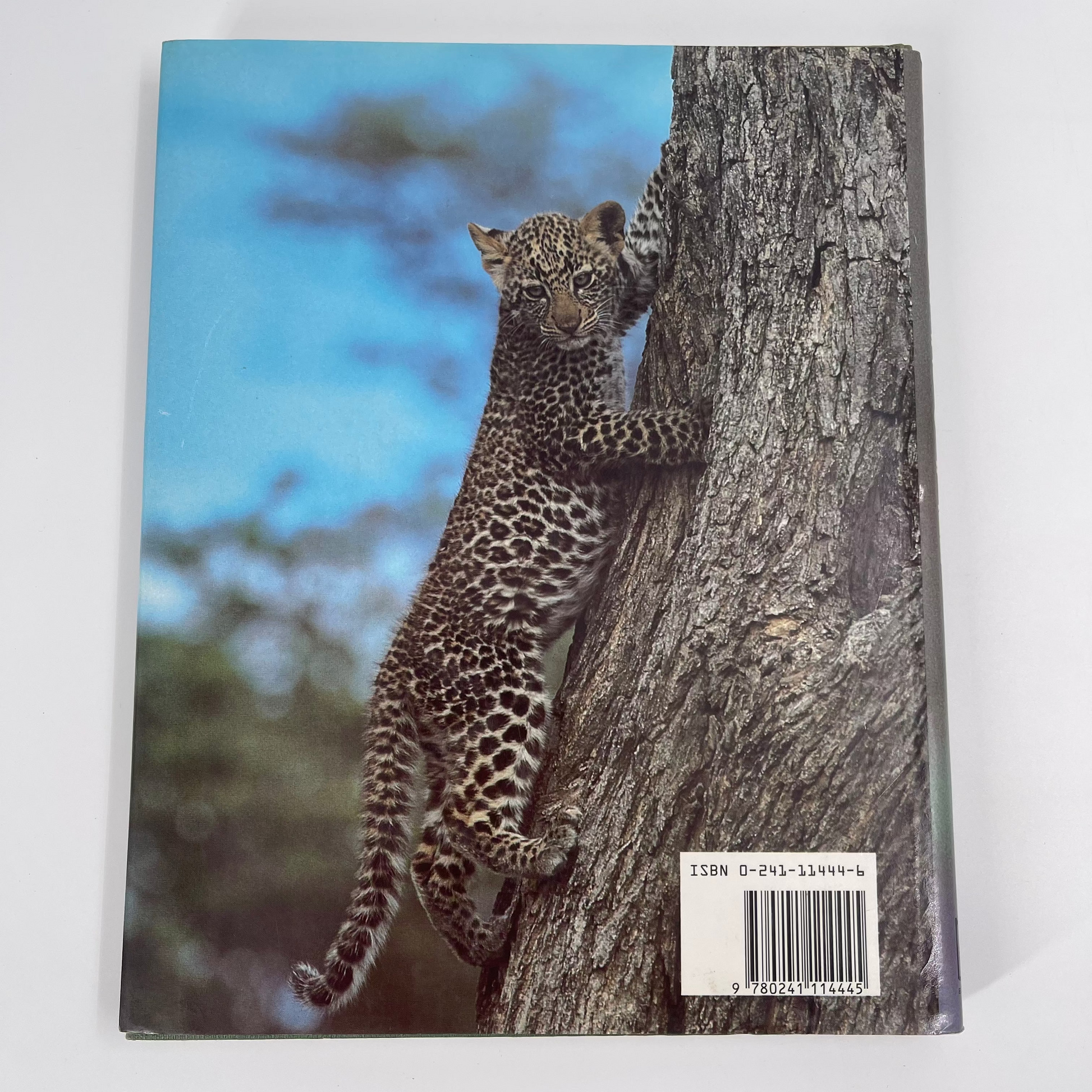 The Leopard's Tale - Jonathan Scott - Spine