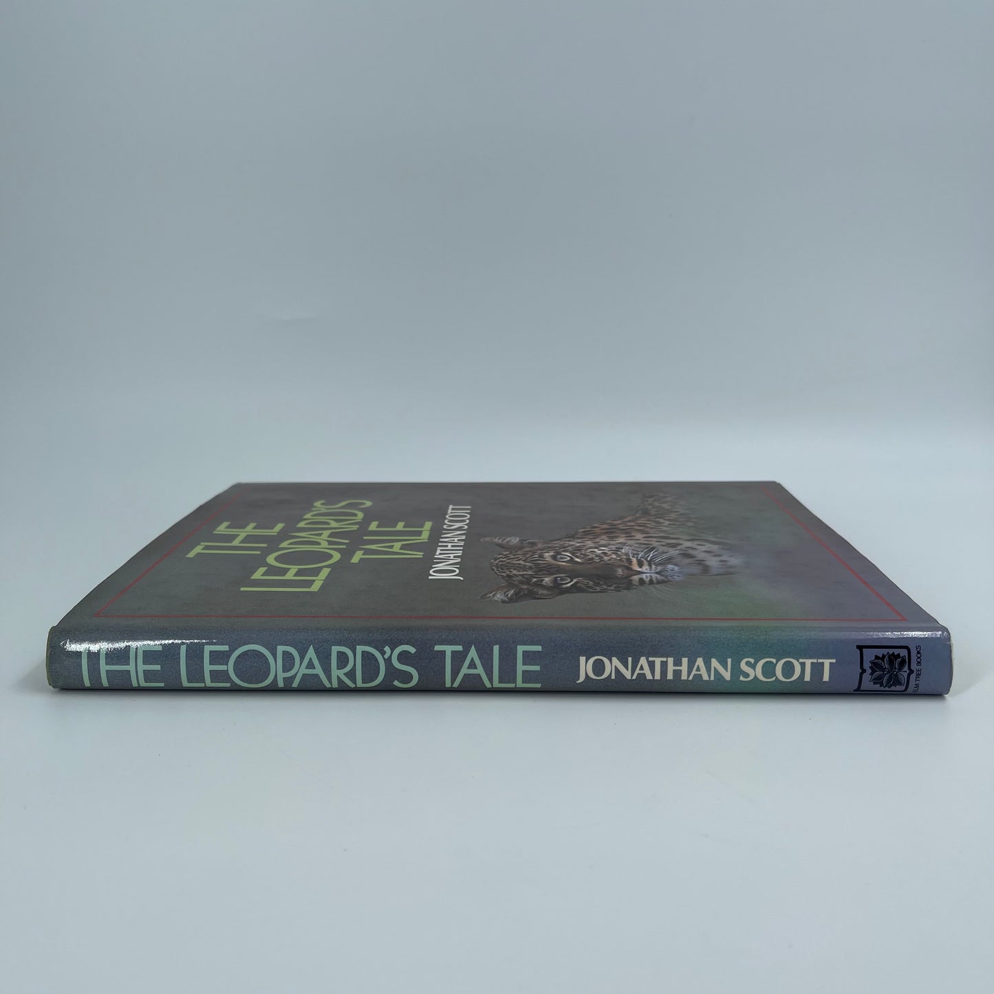 The Leopard's Tale - Jonathan Scott - Condition Detail 4