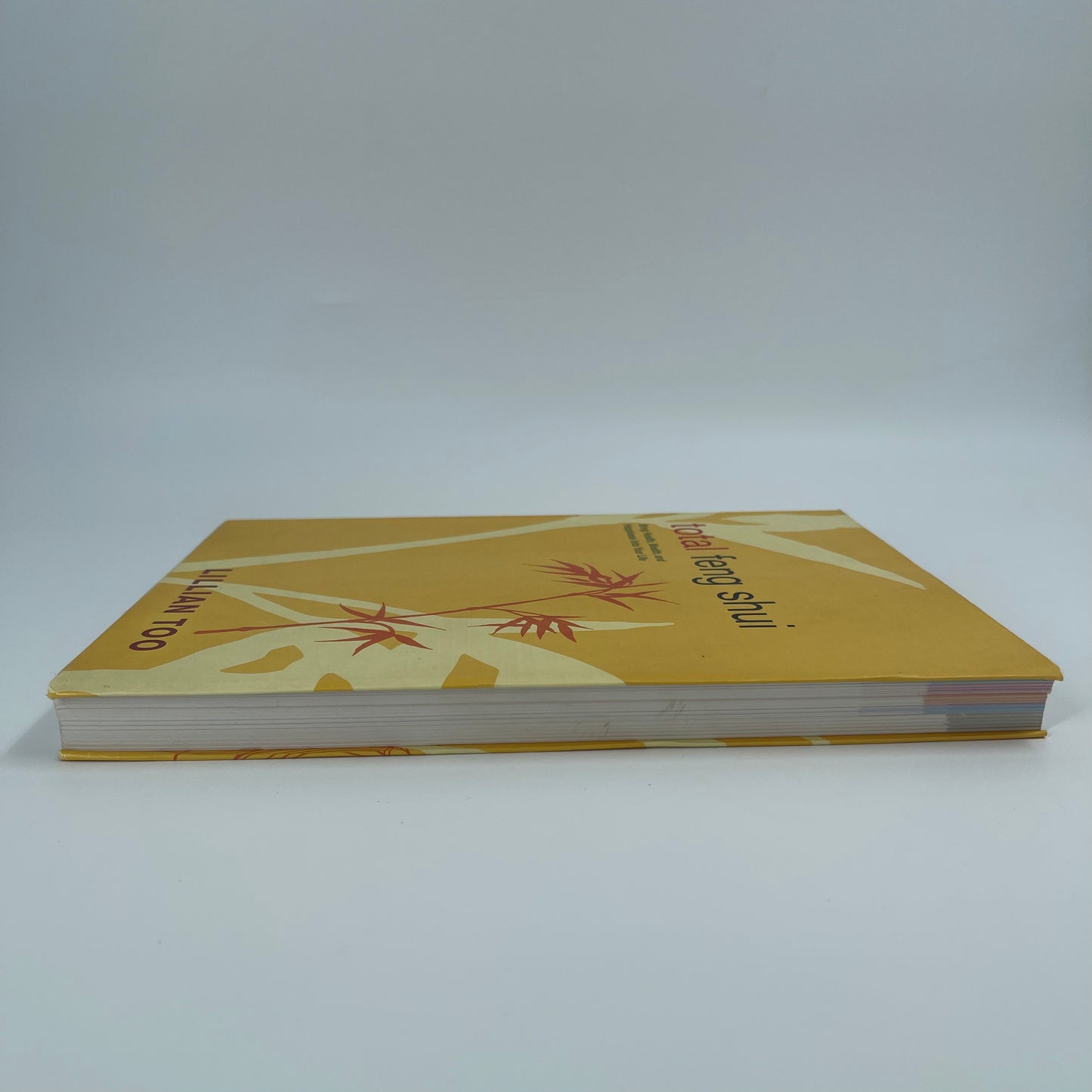 Total Feng Shui Bring Health, Wealth, and Happiness Into Your Life - Lillian Too - Spine