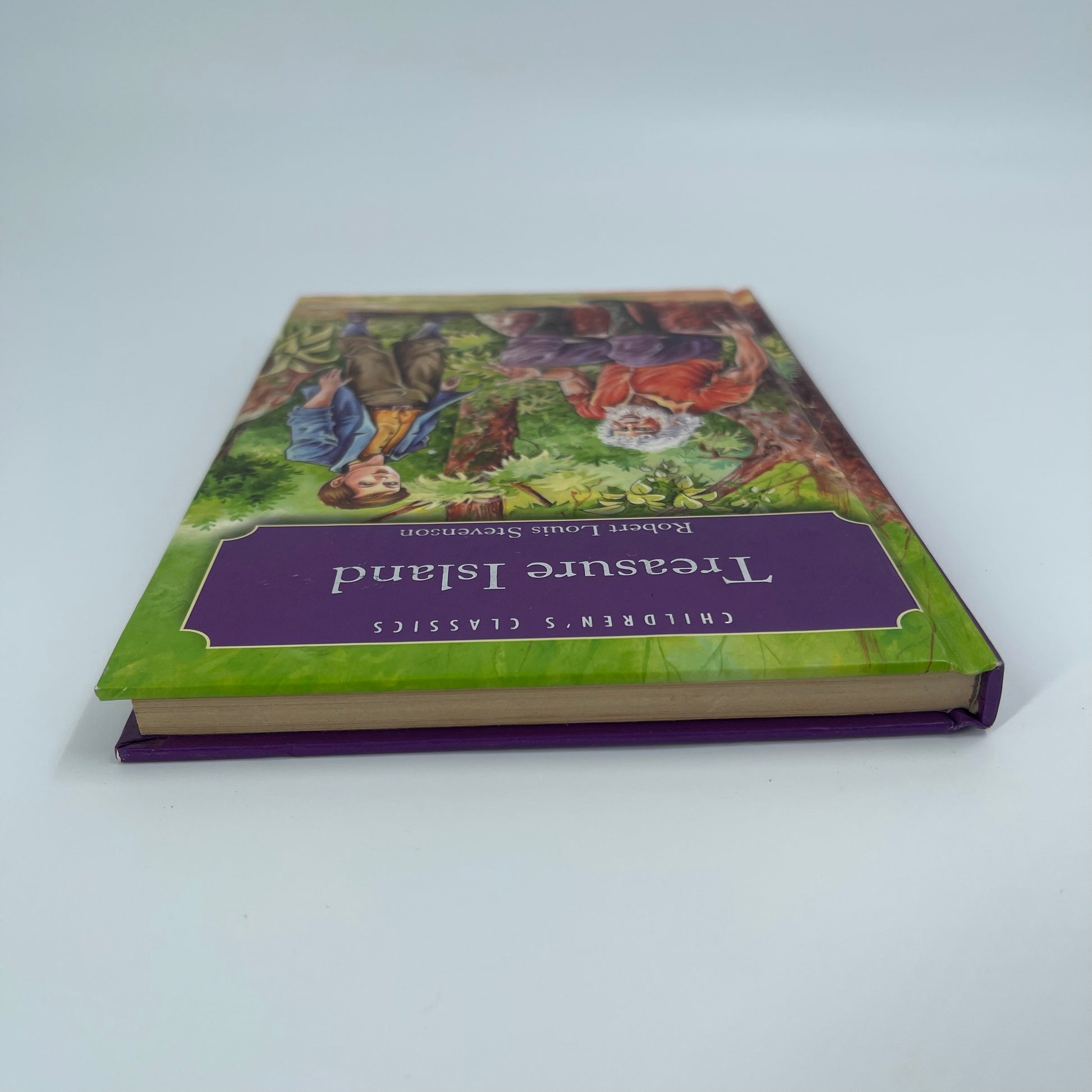 Treasure Island - Robert Louis Stevenson - Condition Detail 2
