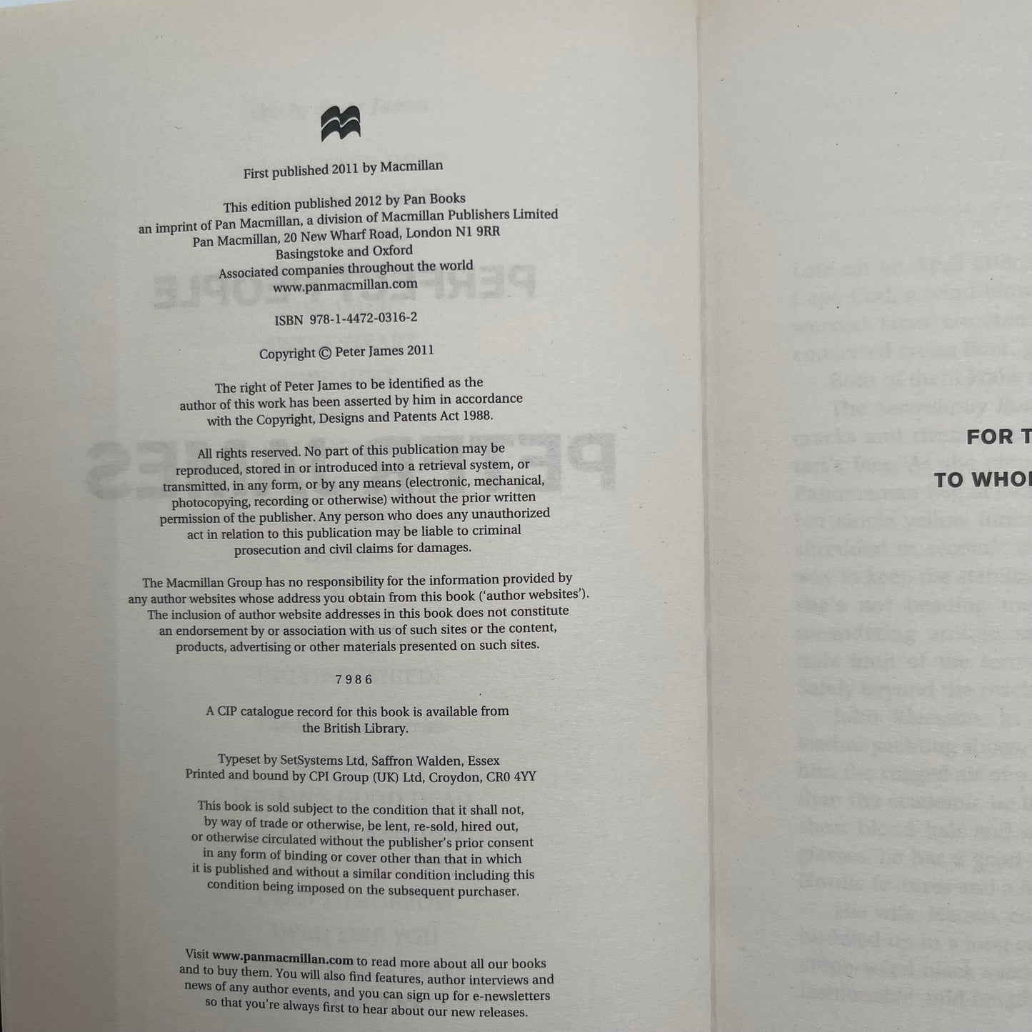 Perfect People - Peter James - Condition Detail 2