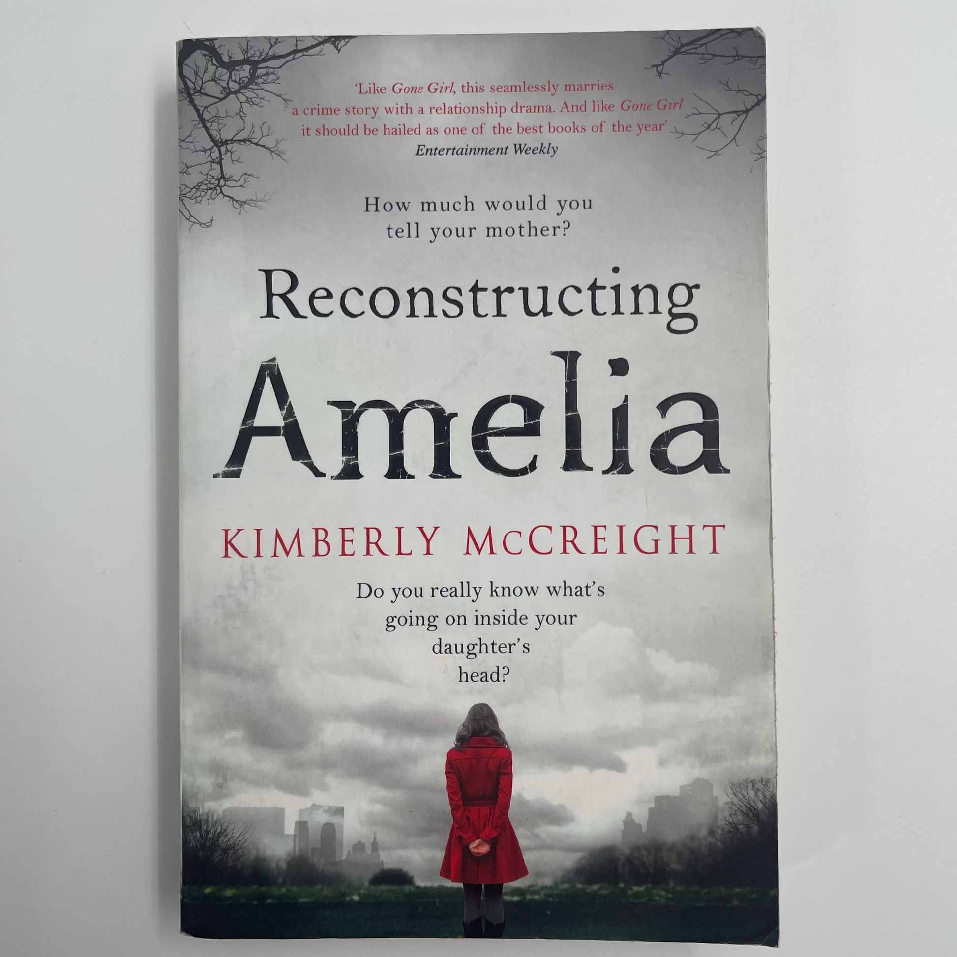 Reconstructing Amelia - Kimberly McCreight - Front Cover