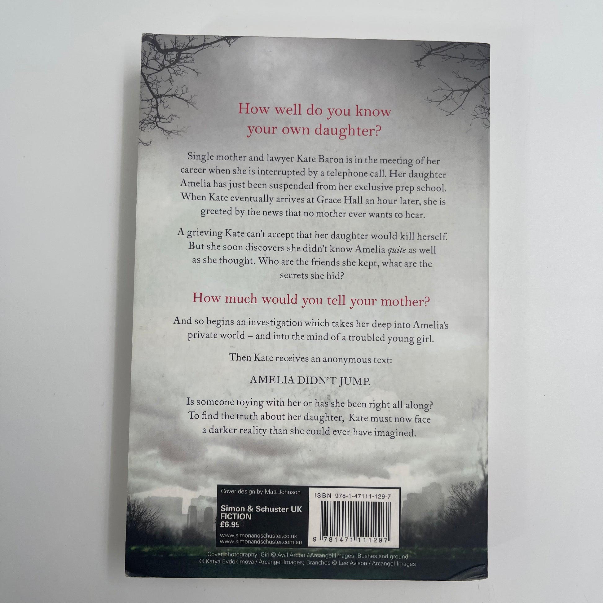 Reconstructing Amelia - Kimberly McCreight - Back Cover