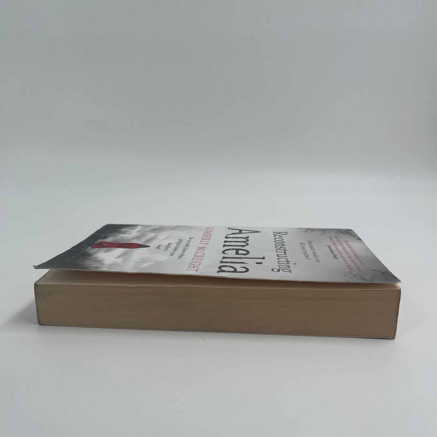 Reconstructing Amelia - Kimberly McCreight - Fore Edge