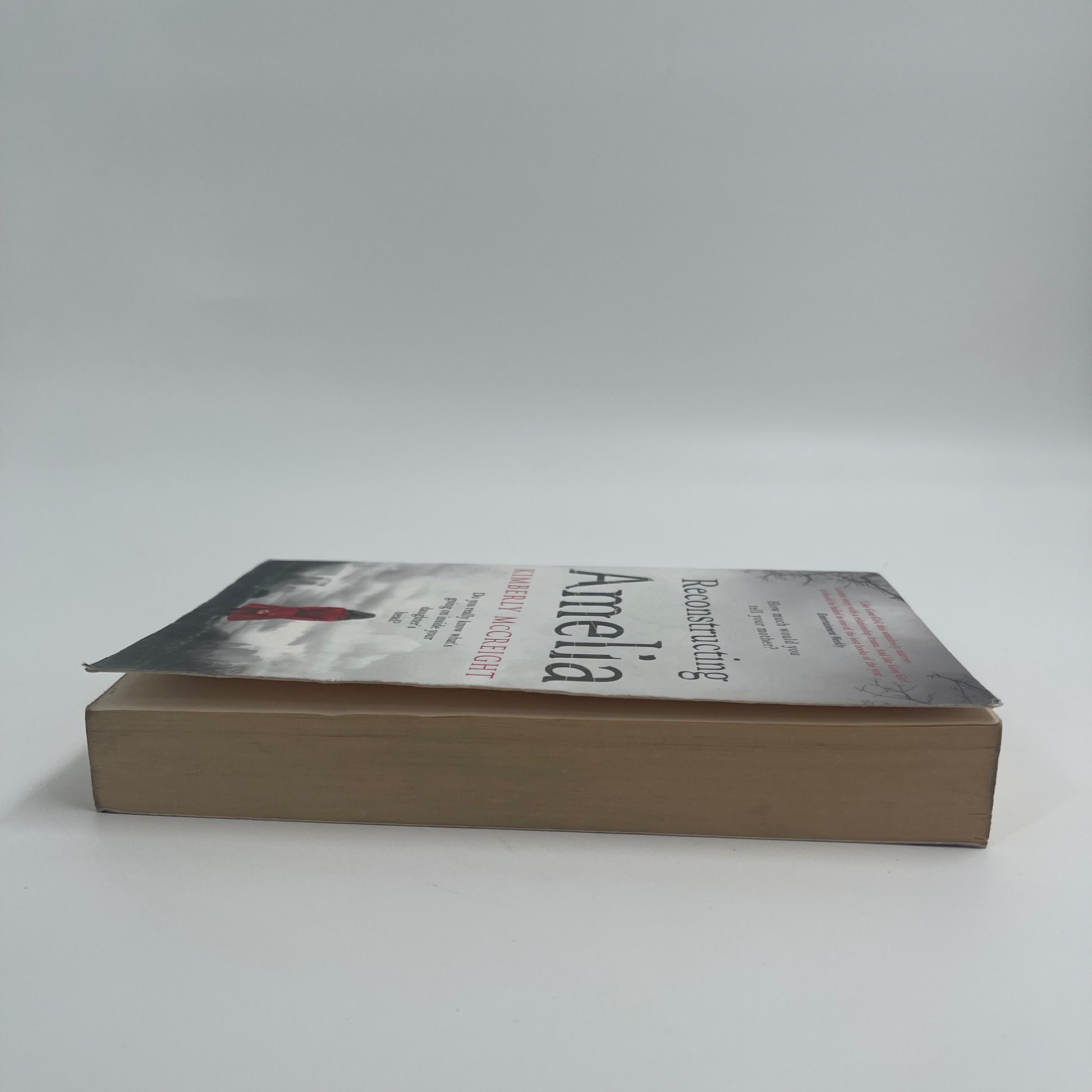 Reconstructing Amelia - Kimberly McCreight - Fore Edge