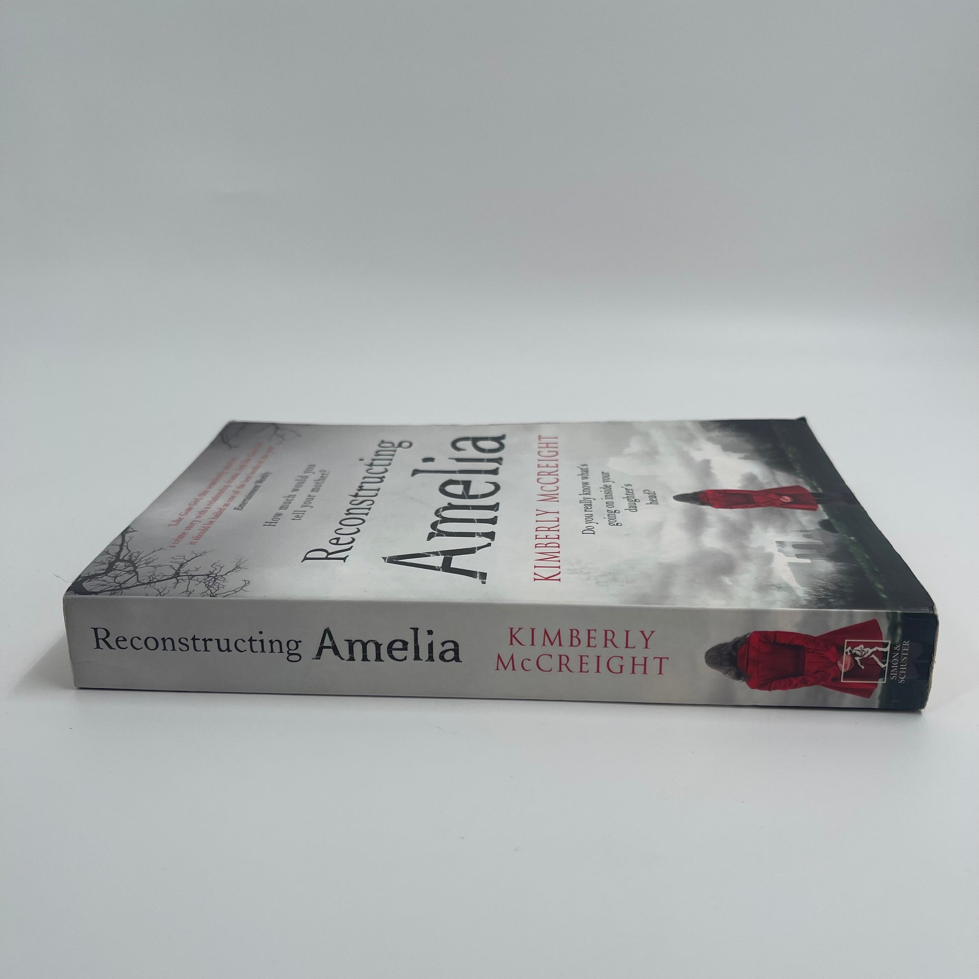 Reconstructing Amelia - Kimberly McCreight - Spine