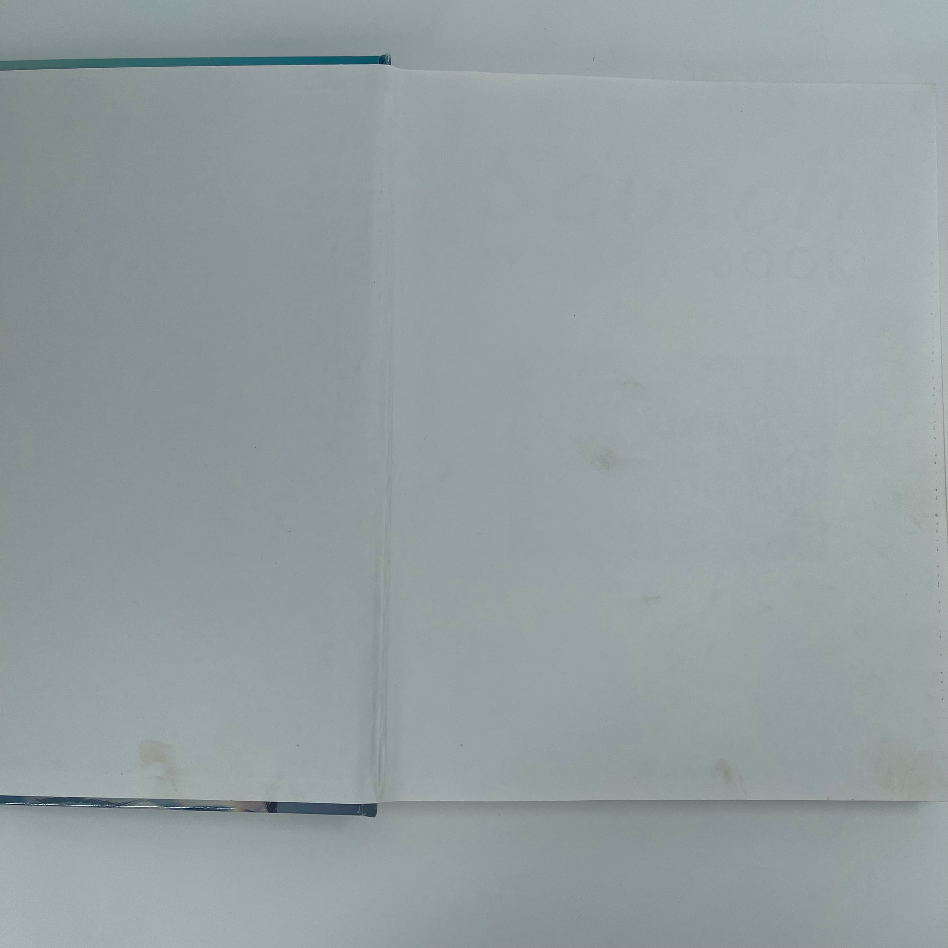 The Scotch Whisky Book - Tom Bruce-Gardyne - Condition Detail 4