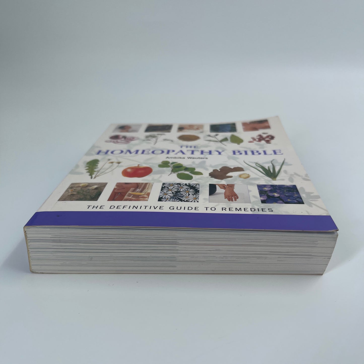 The Homeopathy Bible The Definitive Guide to Remedies - Ambika Wauters - Fore Edge
