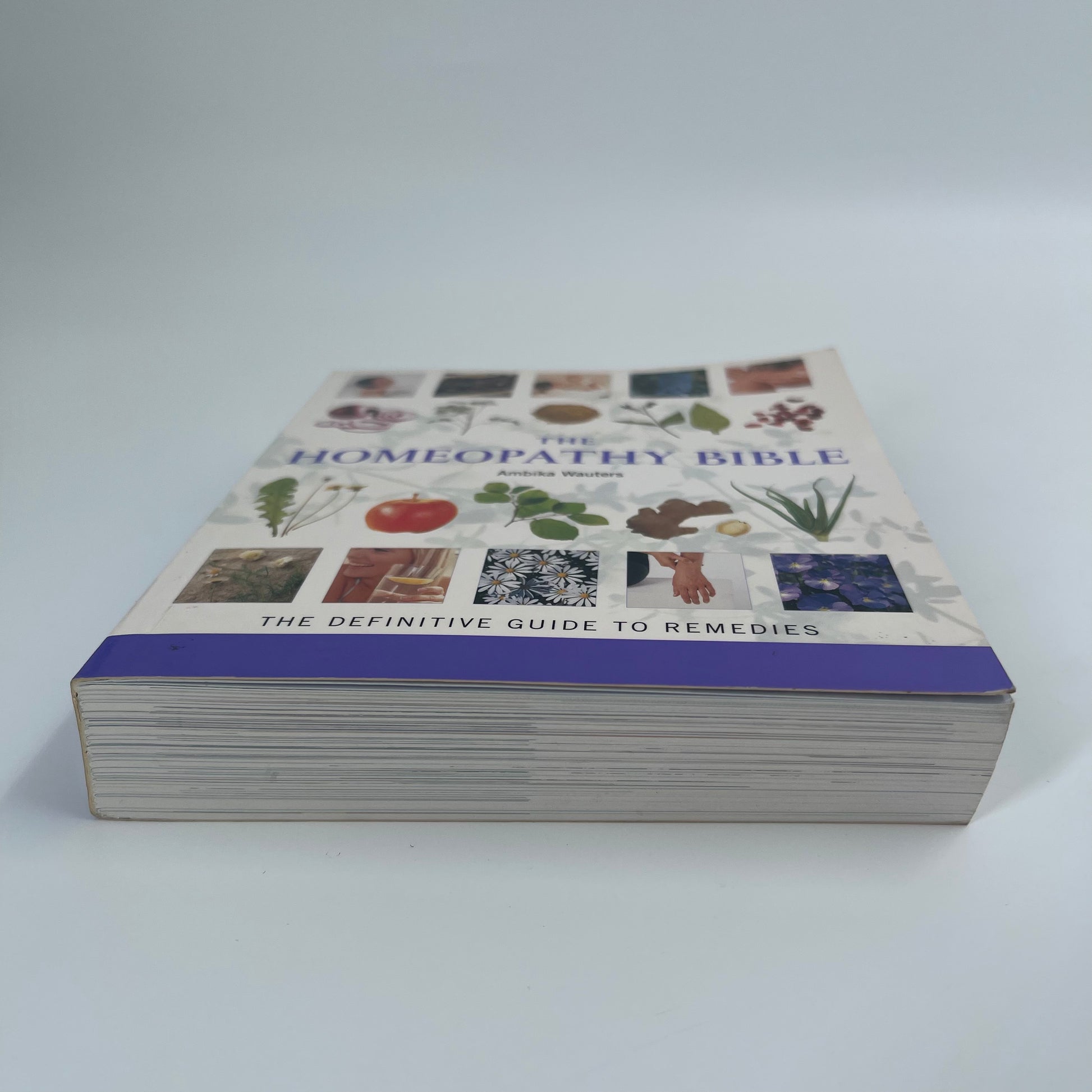 The Homeopathy Bible The Definitive Guide to Remedies - Ambika Wauters - Fore Edge