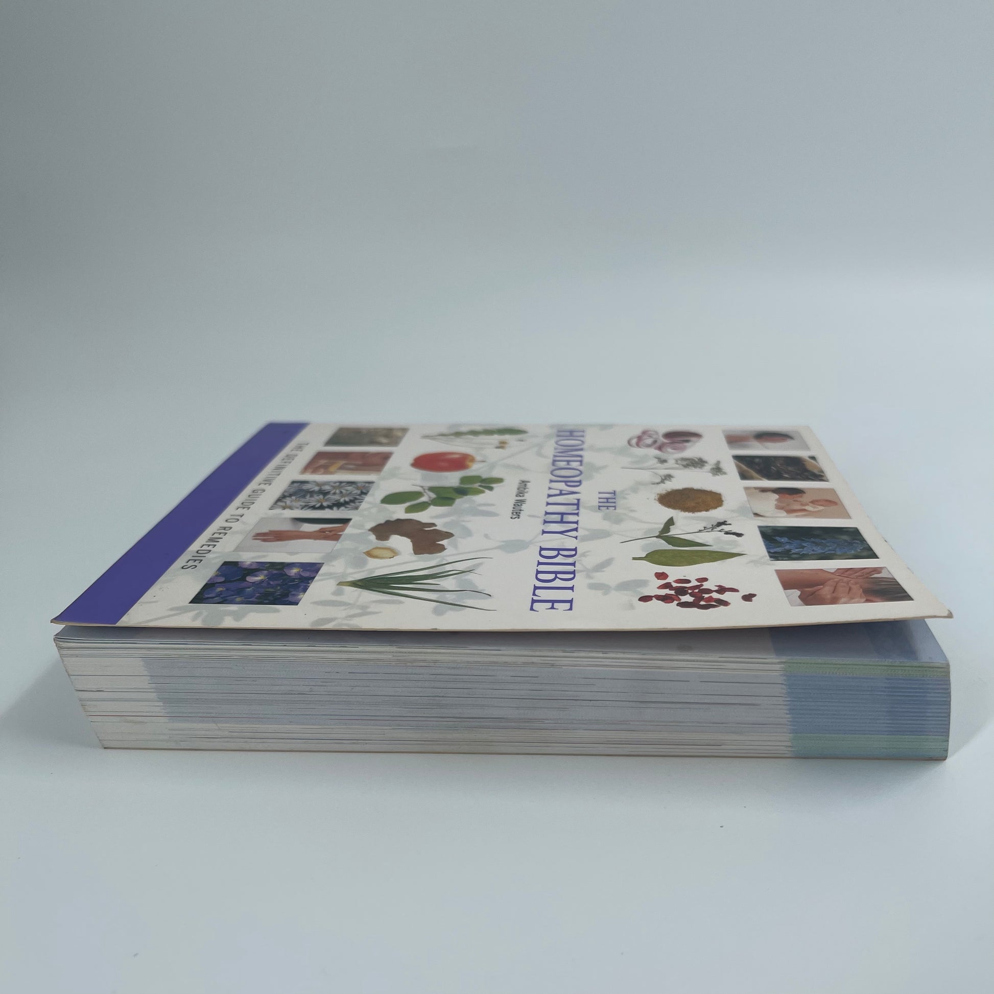 The Homeopathy Bible The Definitive Guide to Remedies - Ambika Wauters - Top Edge