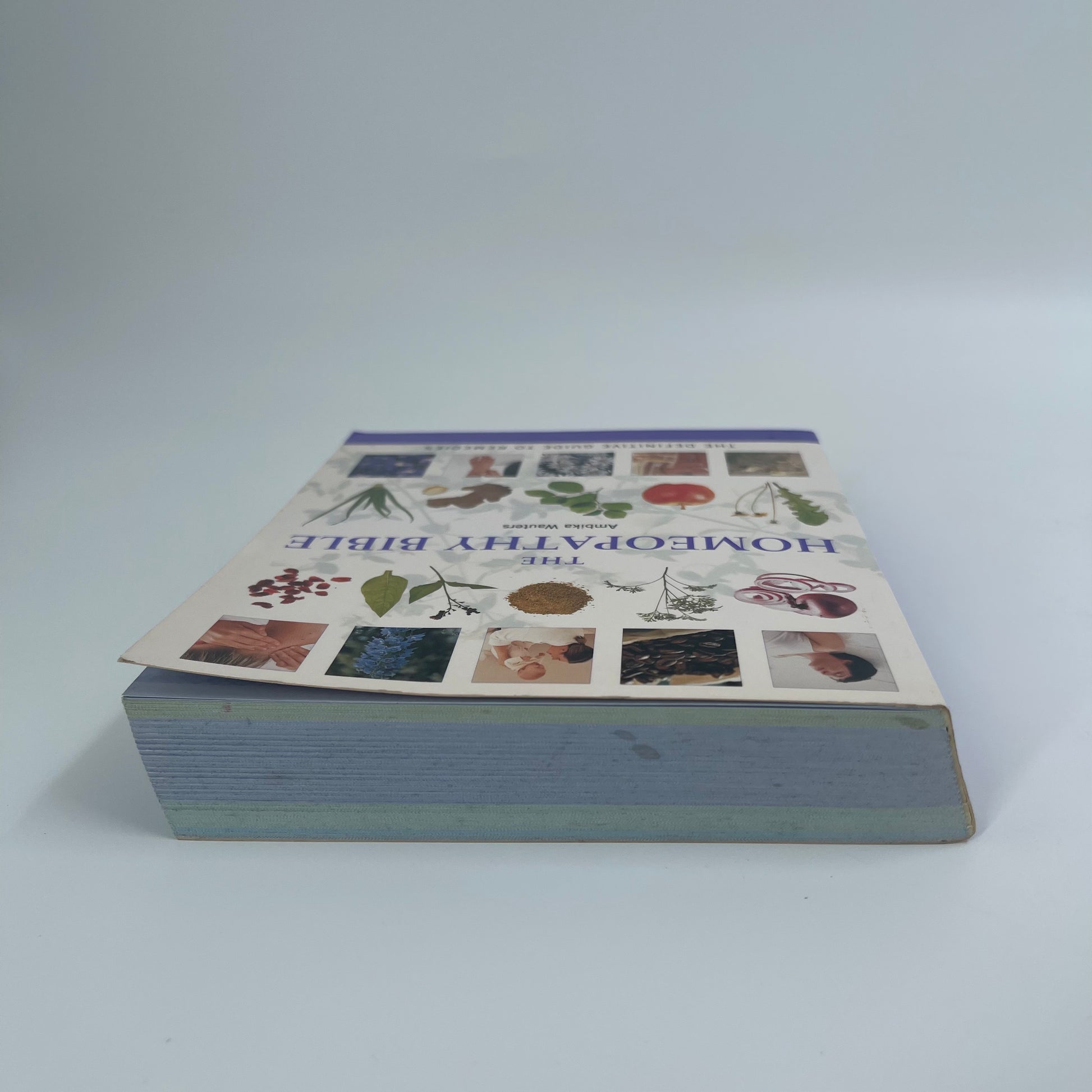 The Homeopathy Bible The Definitive Guide to Remedies - Ambika Wauters - Spine