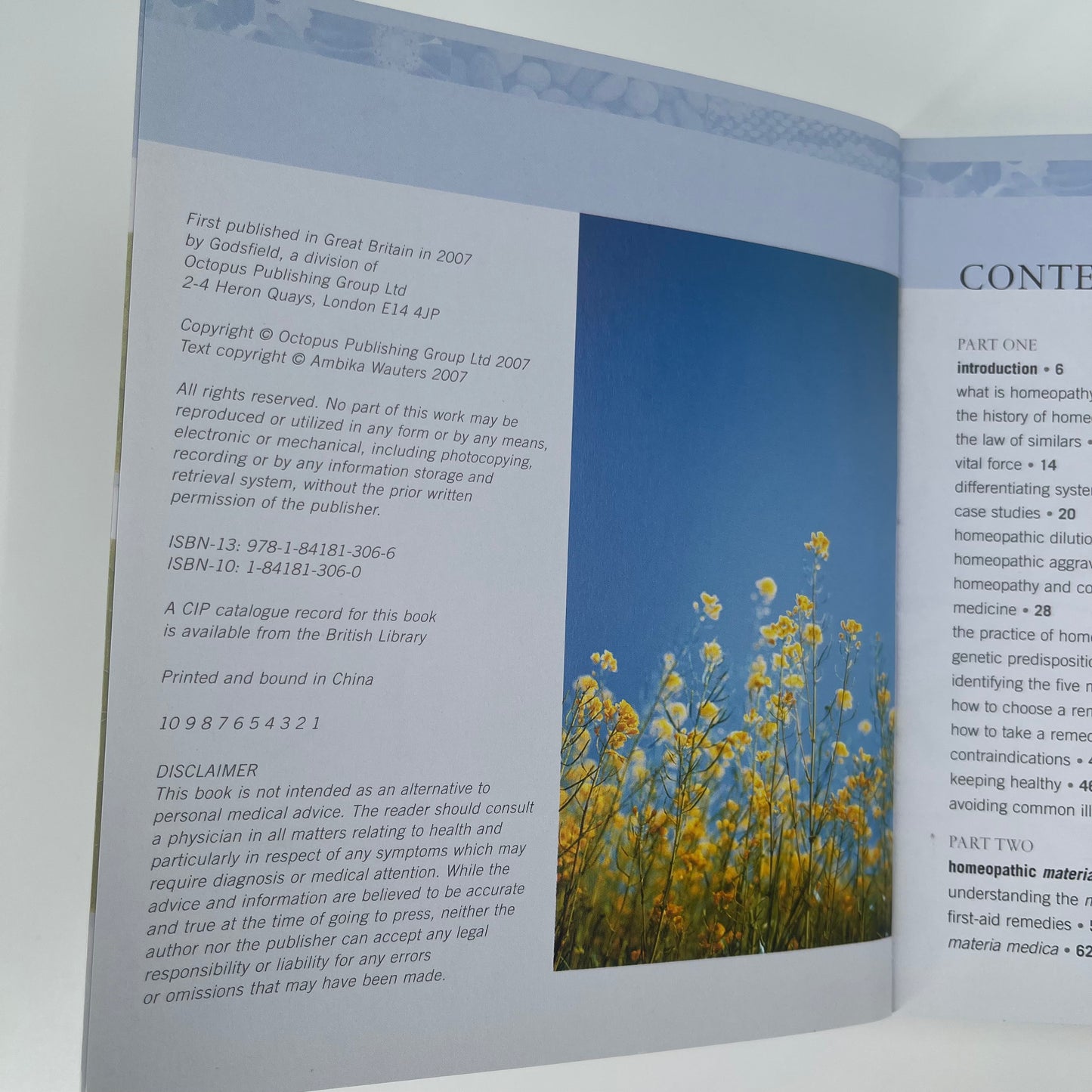 The Homeopathy Bible The Definitive Guide to Remedies - Ambika Wauters - Condition Detail 2