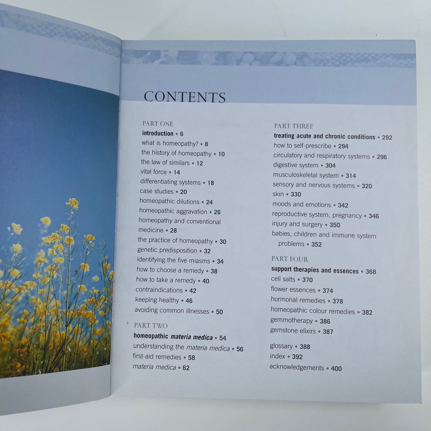 The Homeopathy Bible The Definitive Guide to Remedies - Ambika Wauters - Condition Detail 3