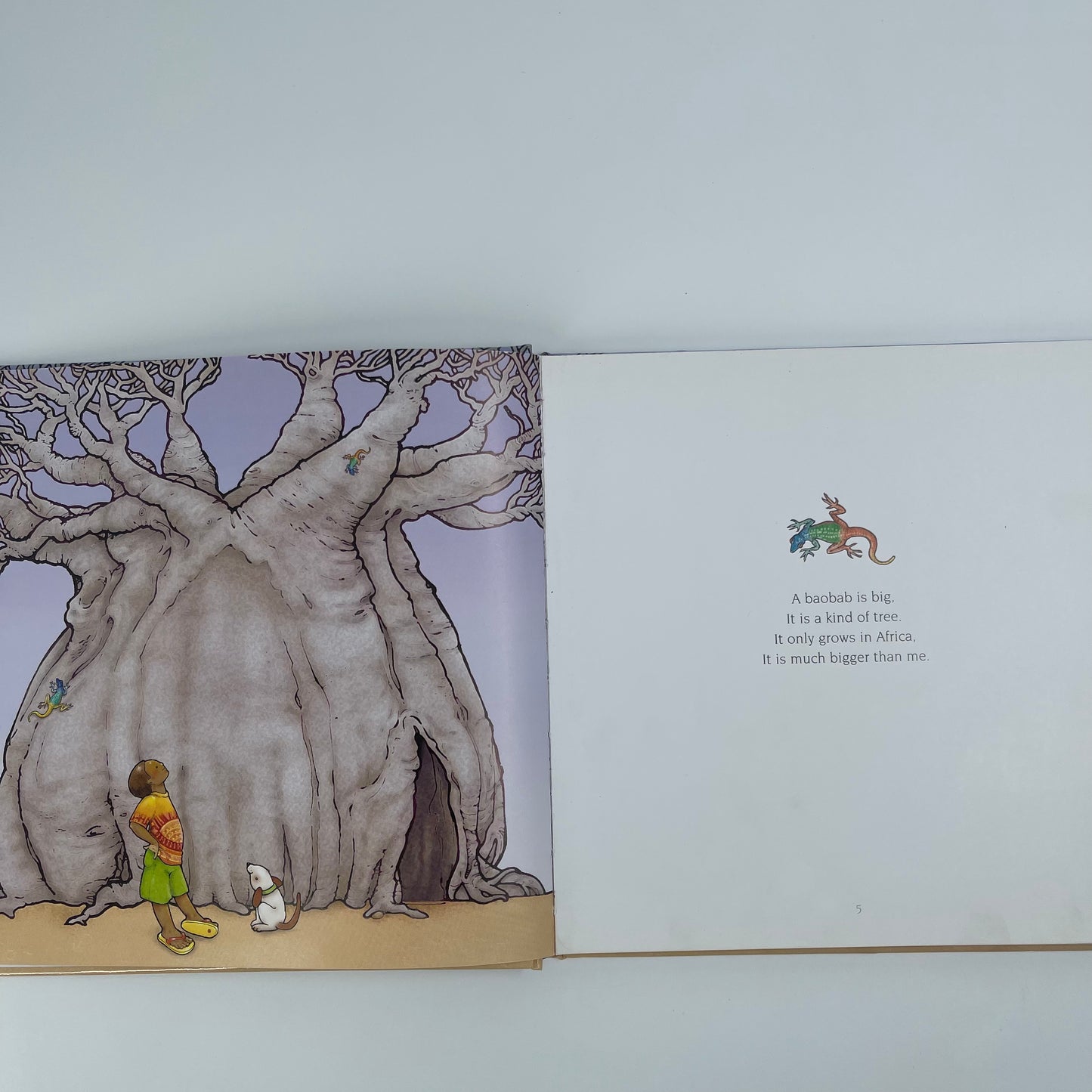 A Baobab is Big & Other Verses from Africa - Jacqui Taylor - Back Cover