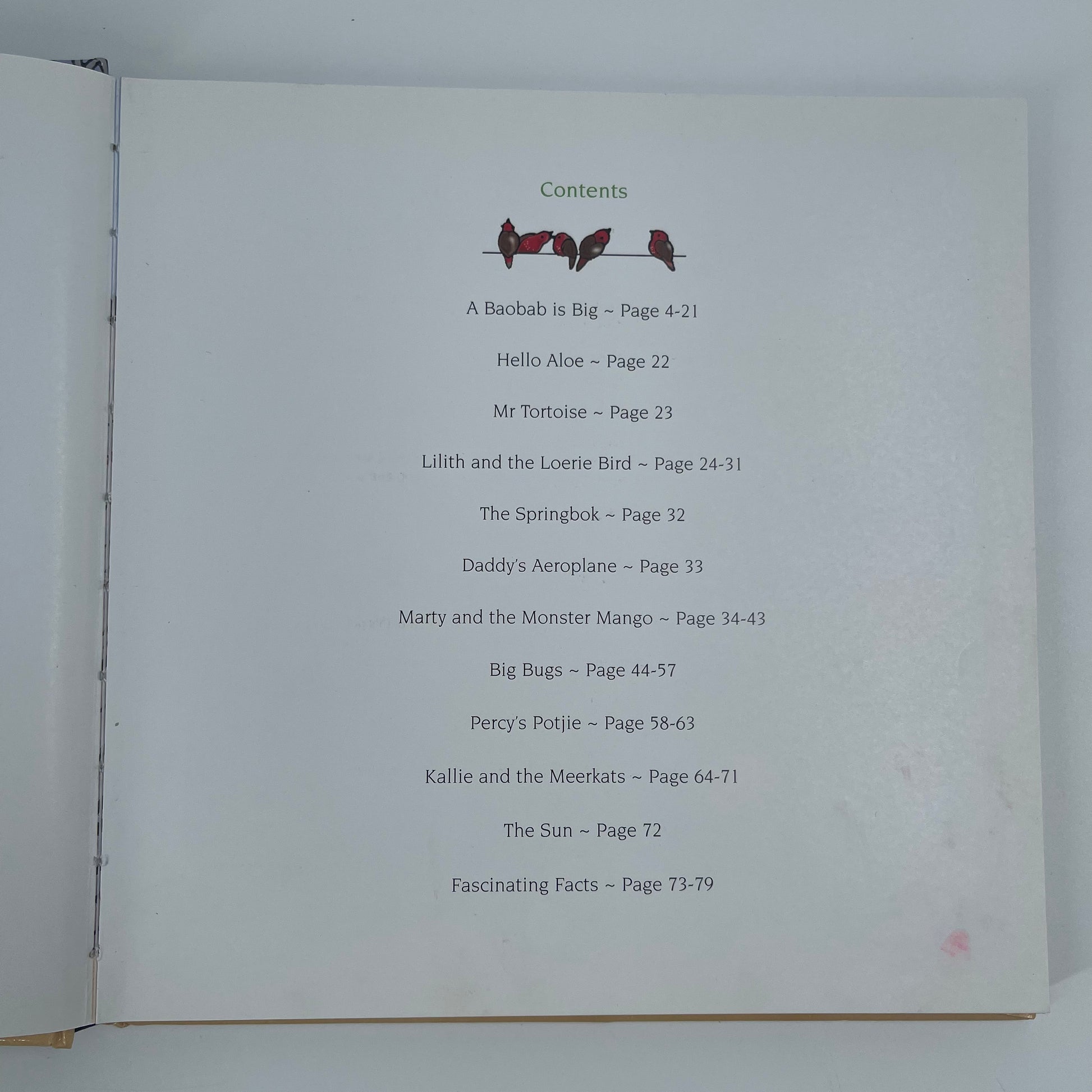 A Baobab is Big & Other Verses from Africa - Jacqui Taylor - Condition Detail 5