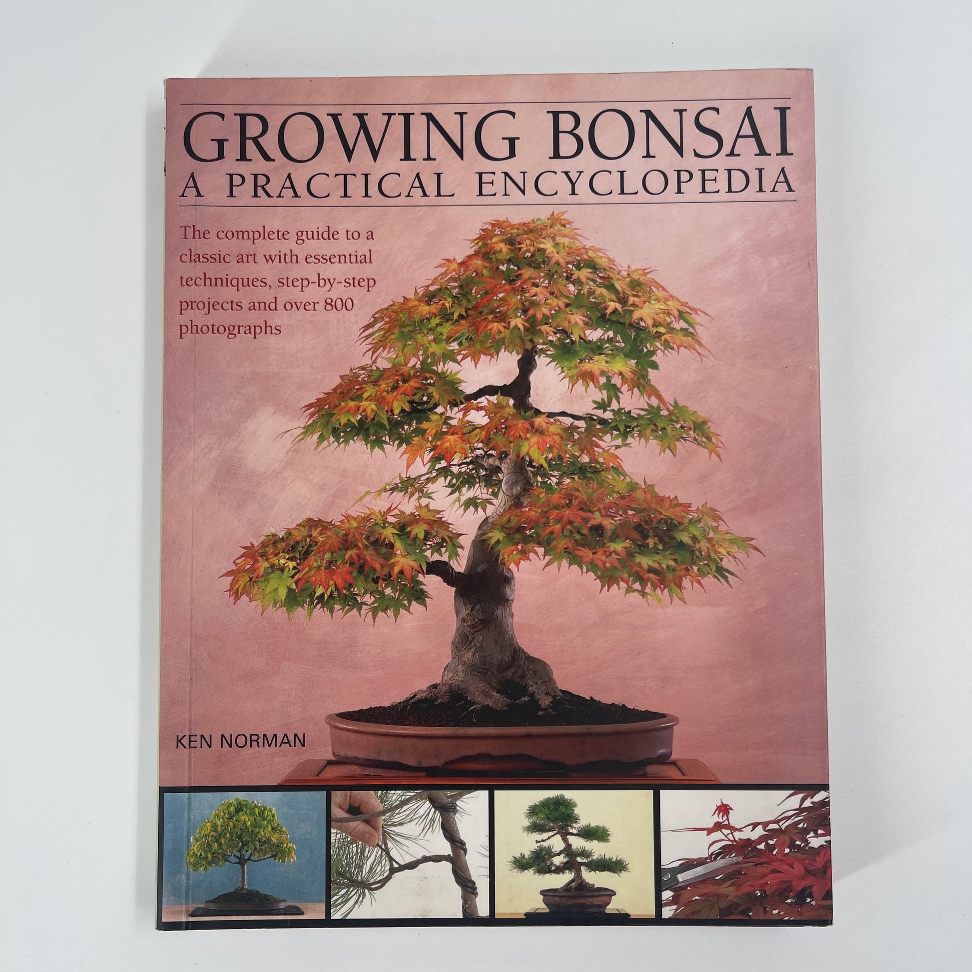 Growing Bonsai A Practical Encyclopedia : the Complete Guide to a Classic Art with Essential Techniques, Step-by-step Projects and Over 800 Photographs - Ken Norman - Front Cover