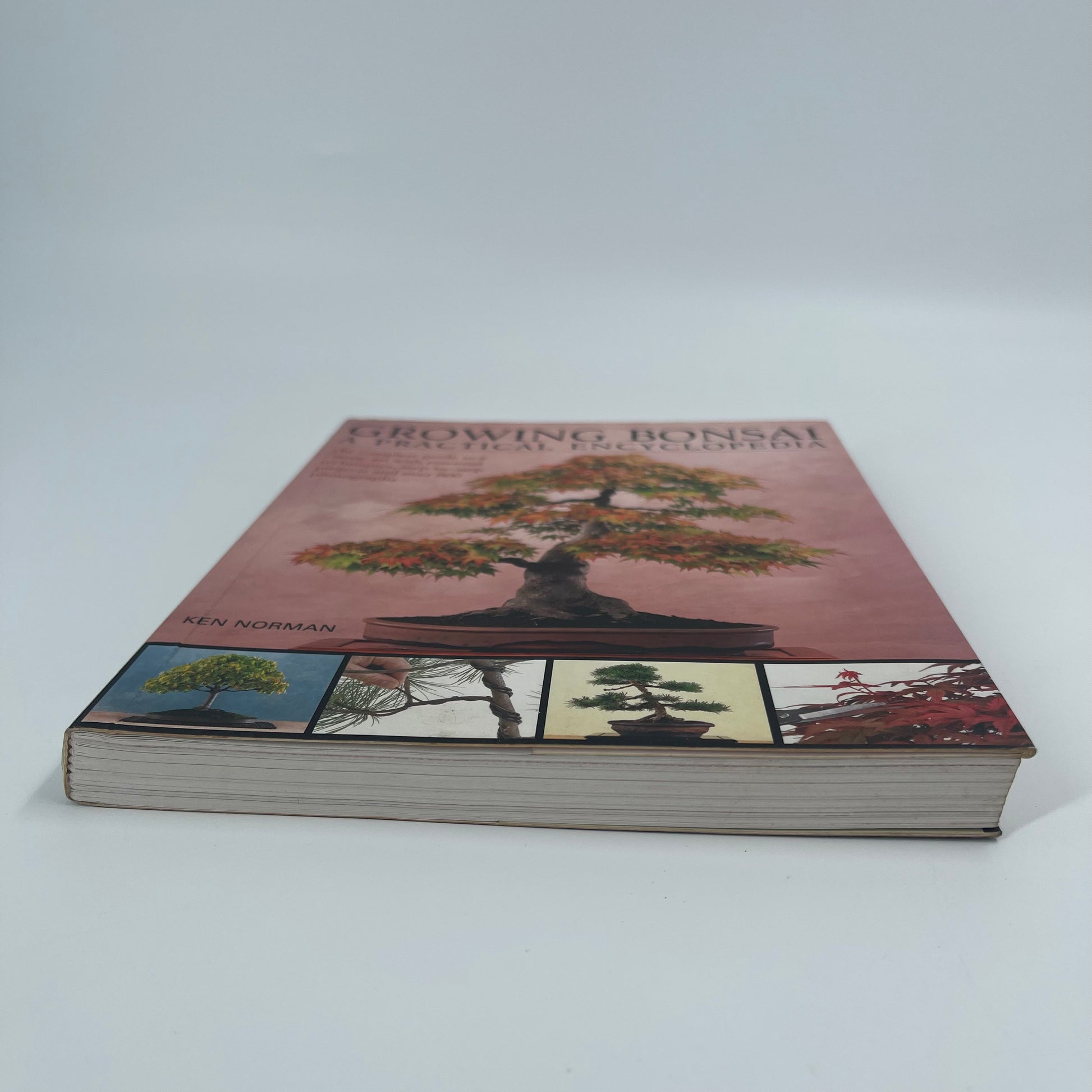 Growing Bonsai A Practical Encyclopedia : the Complete Guide to a Classic Art with Essential Techniques, Step-by-step Projects and Over 800 Photographs - Ken Norman - Fore Edge