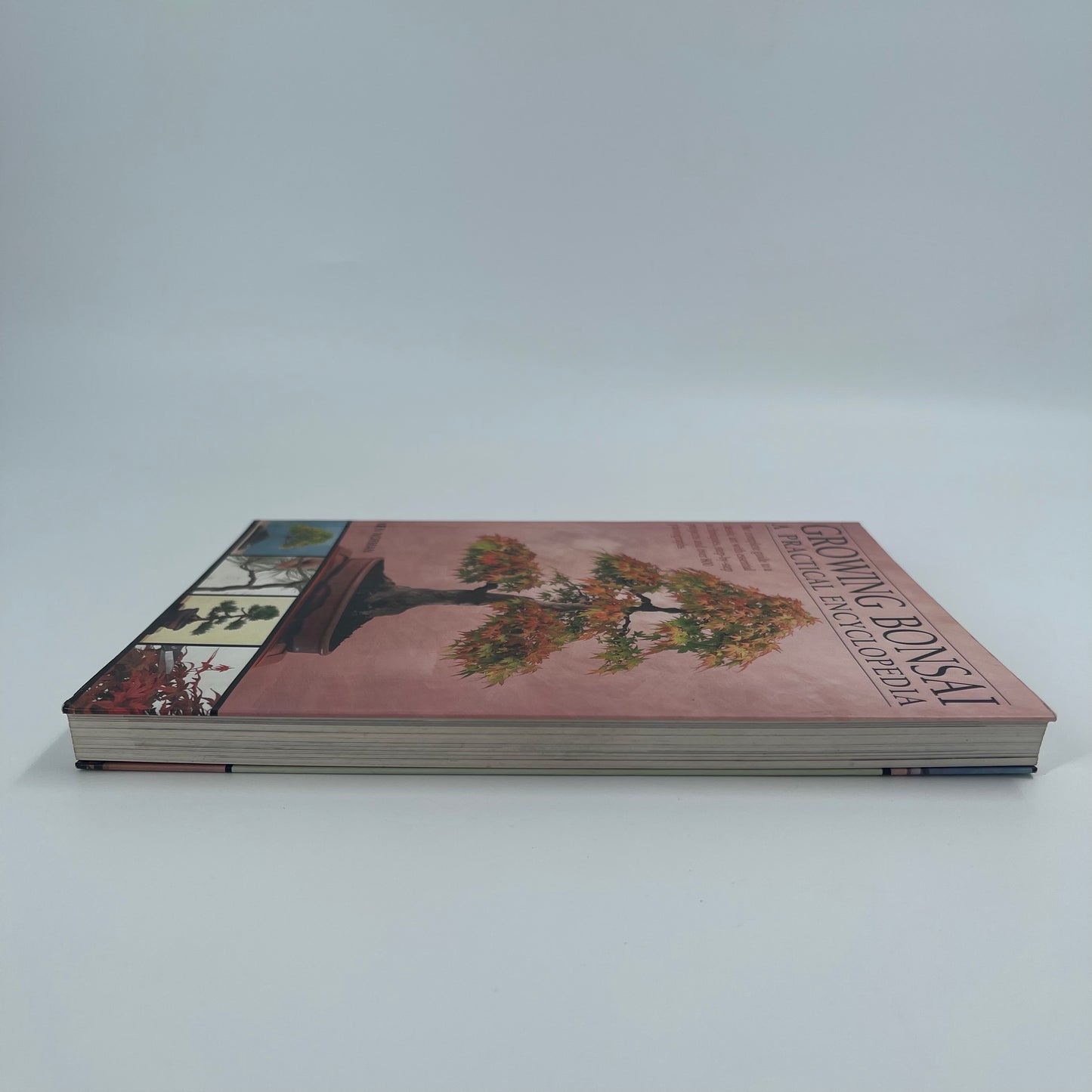 Growing Bonsai A Practical Encyclopedia : the Complete Guide to a Classic Art with Essential Techniques, Step-by-step Projects and Over 800 Photographs - Ken Norman - Top Edge