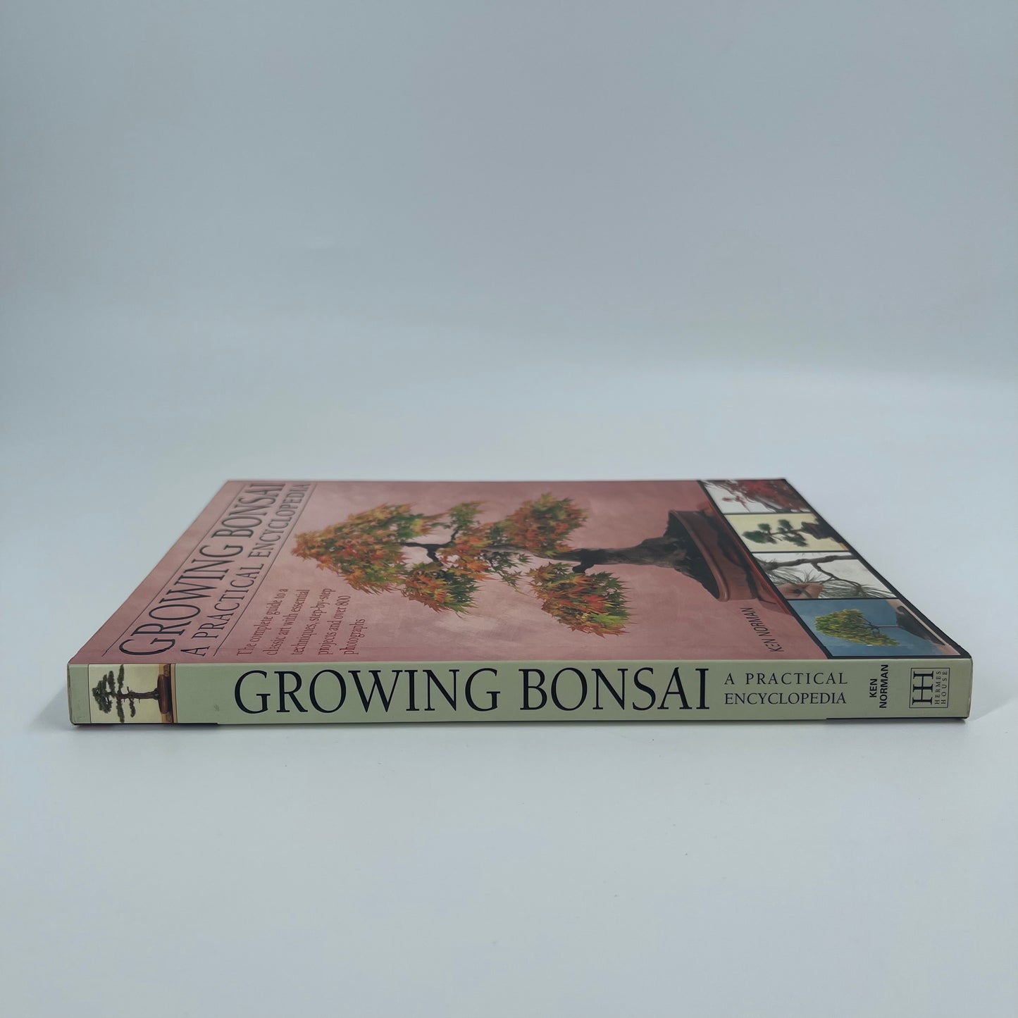 Growing Bonsai A Practical Encyclopedia : the Complete Guide to a Classic Art with Essential Techniques, Step-by-step Projects and Over 800 Photographs - Ken Norman - Condition Detail 1