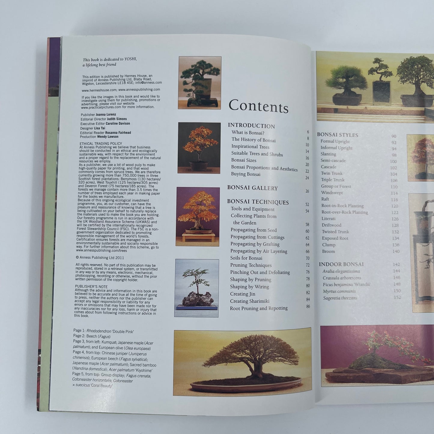 Growing Bonsai A Practical Encyclopedia : the Complete Guide to a Classic Art with Essential Techniques, Step-by-step Projects and Over 800 Photographs - Ken Norman - Condition Detail 2