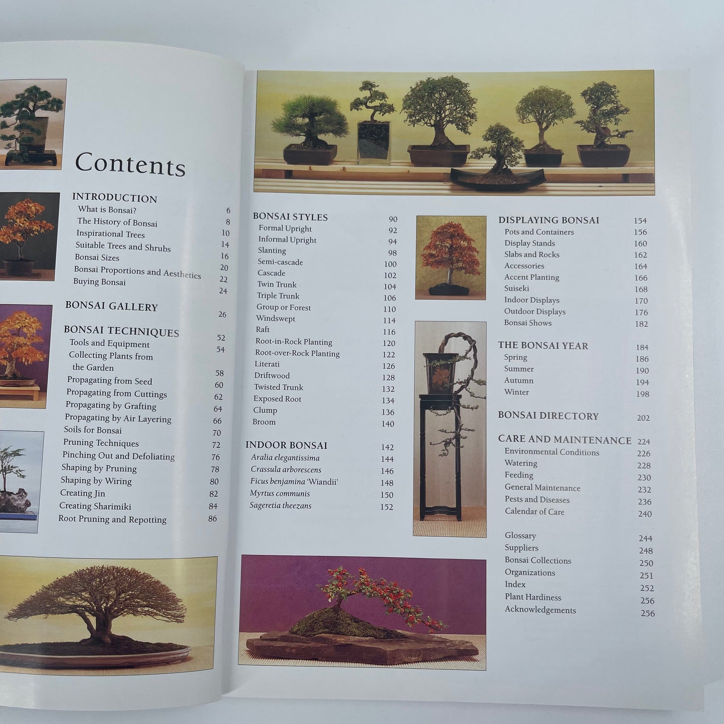 Growing Bonsai A Practical Encyclopedia : the Complete Guide to a Classic Art with Essential Techniques, Step-by-step Projects and Over 800 Photographs - Ken Norman - Condition Detail 3