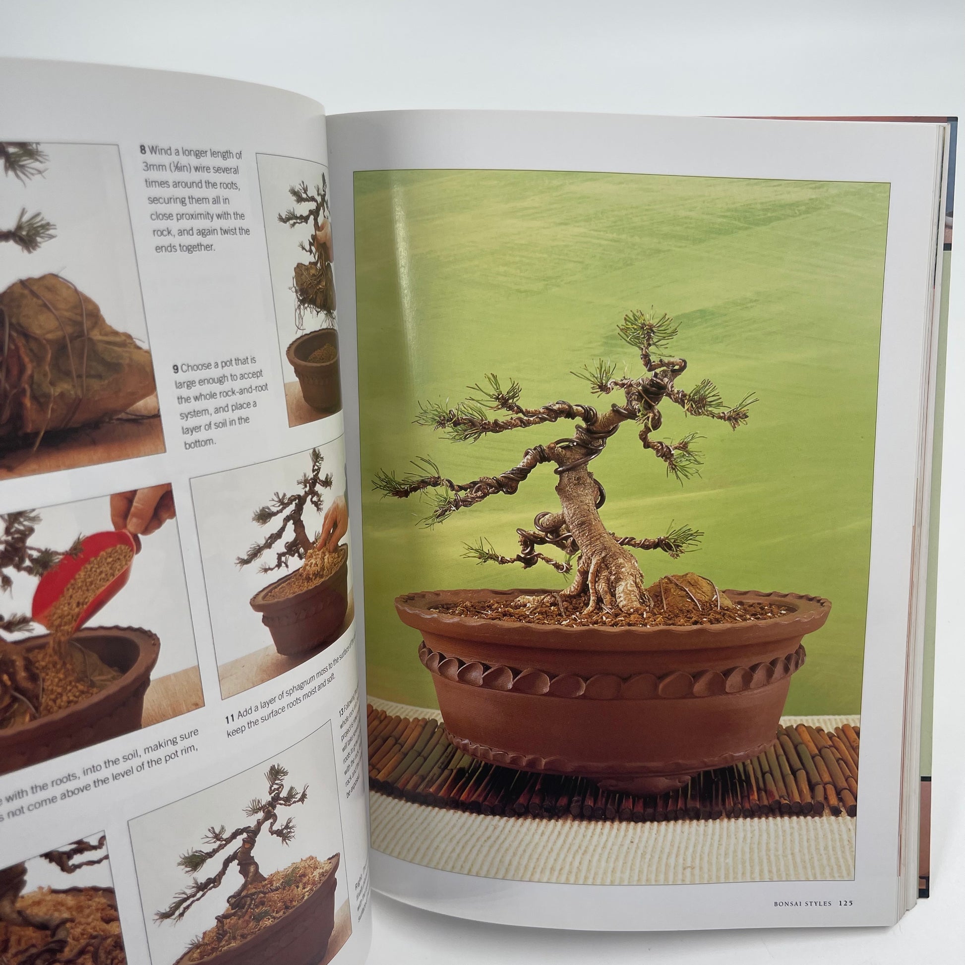Growing Bonsai A Practical Encyclopedia : the Complete Guide to a Classic Art with Essential Techniques, Step-by-step Projects and Over 800 Photographs - Ken Norman - Condition Detail 4