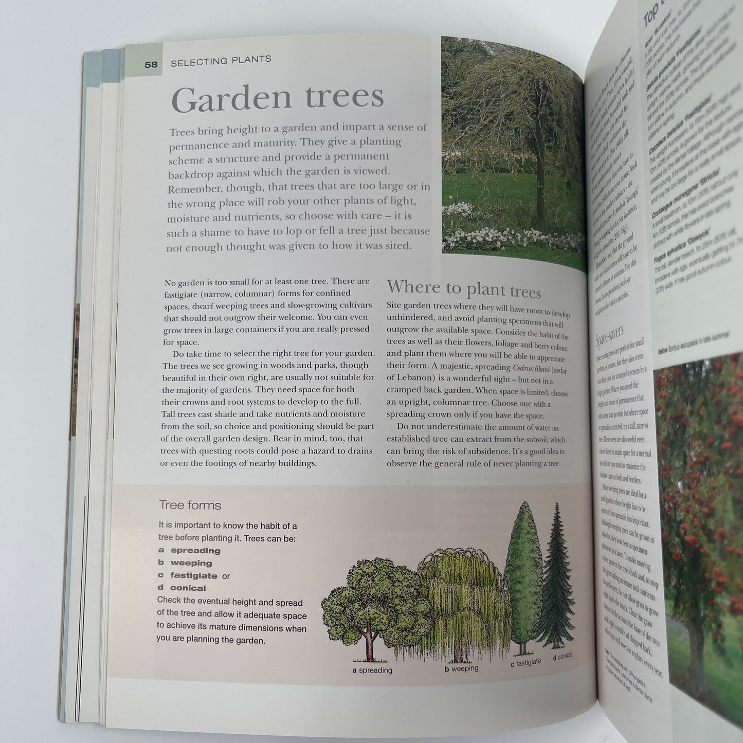 How to Garden - Jo Smith - Back Cover