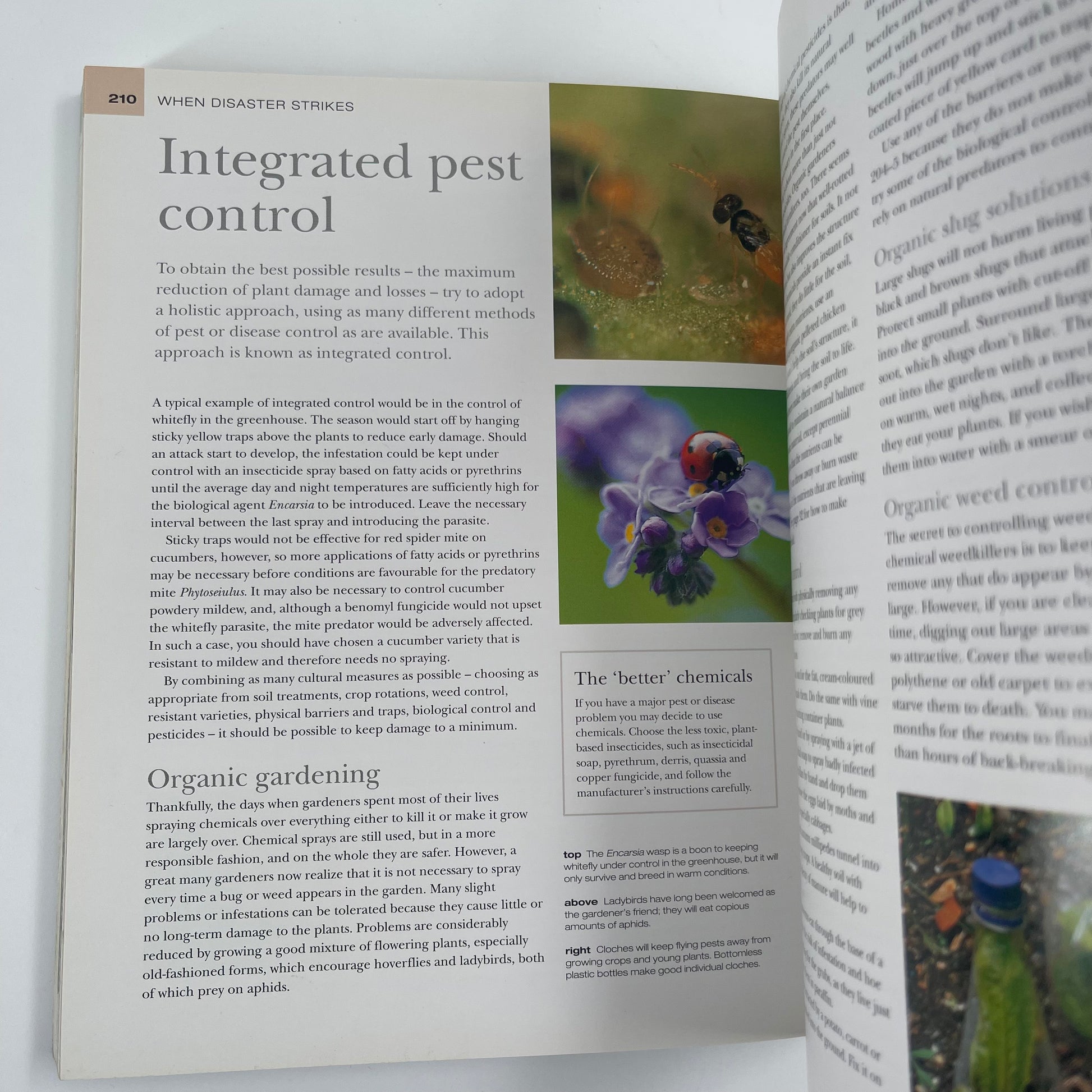 How to Garden - Jo Smith - Bottom Edge