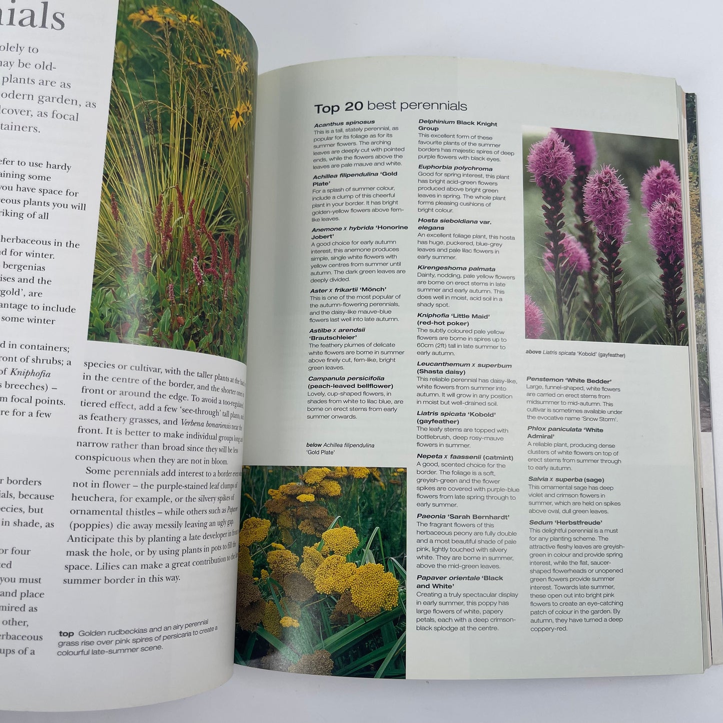 How to Garden - Jo Smith - Condition Detail 5